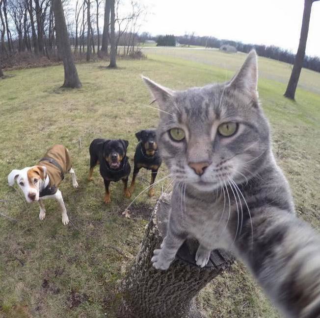 Taking a Selfie with Friend