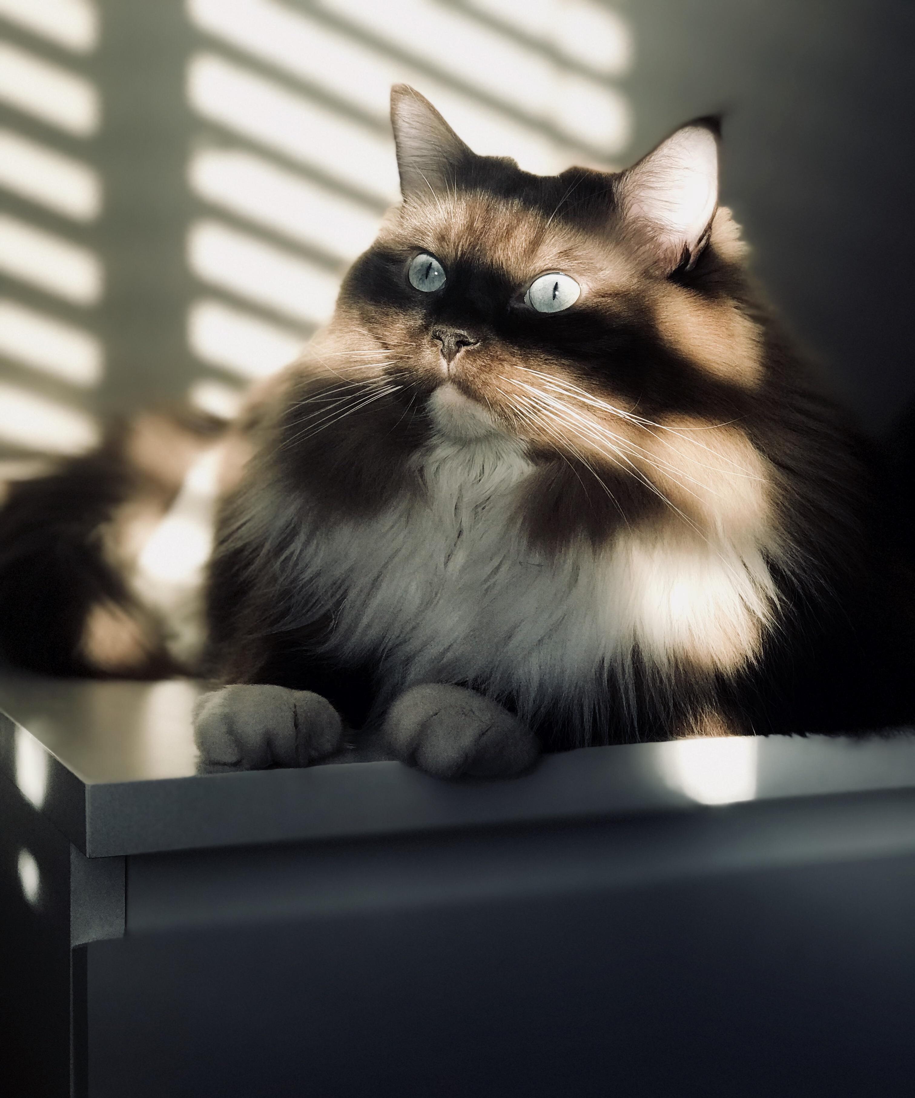 That Morning Light