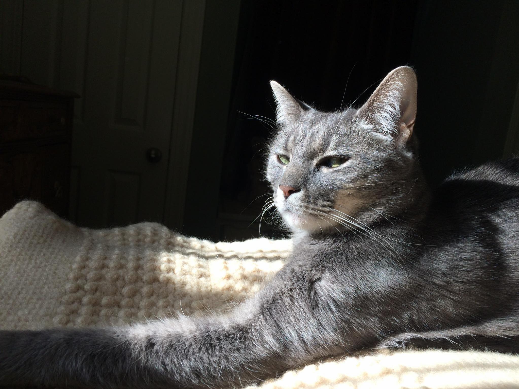 Thats Enough with the Camera Thanks