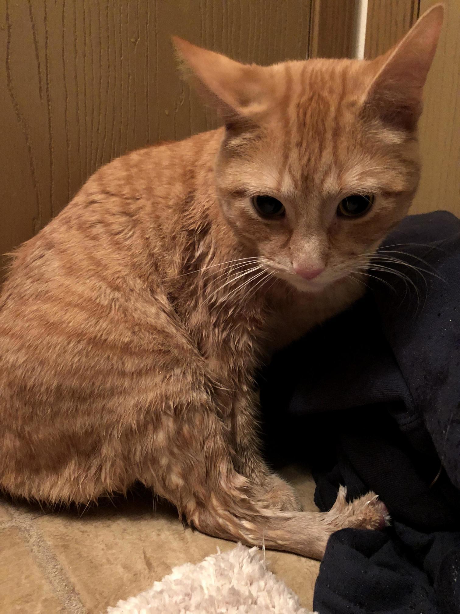 The Face of My Poor Dude Squirt After Jumping in a Filled Bath Tub