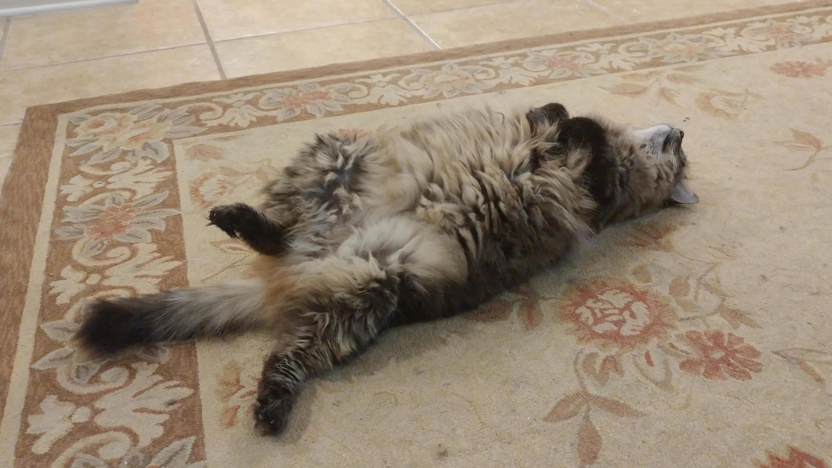 The Flop