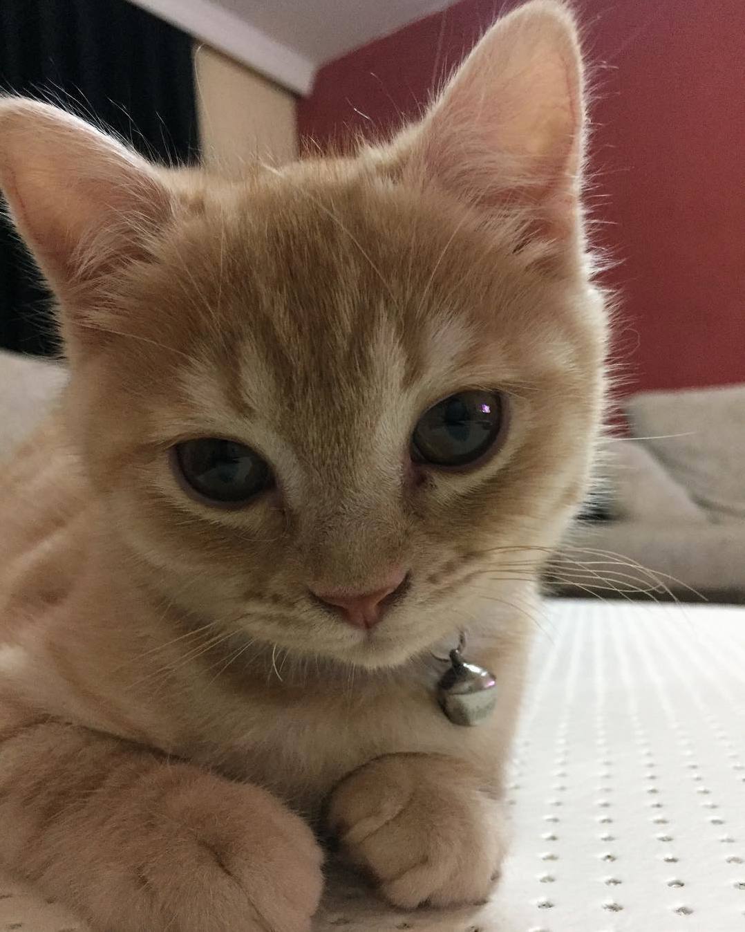The Look of Love..