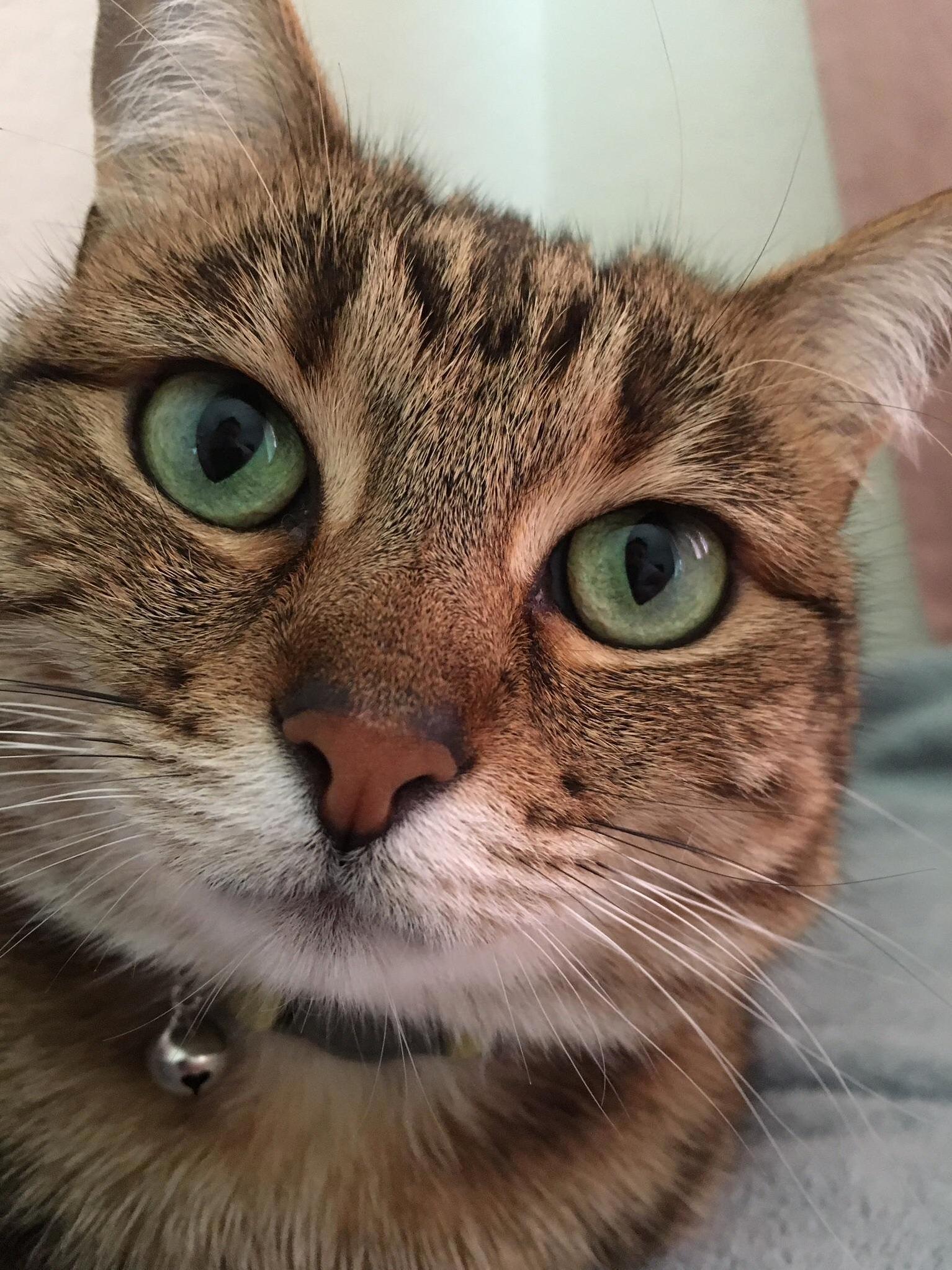 The Prettiest Girl