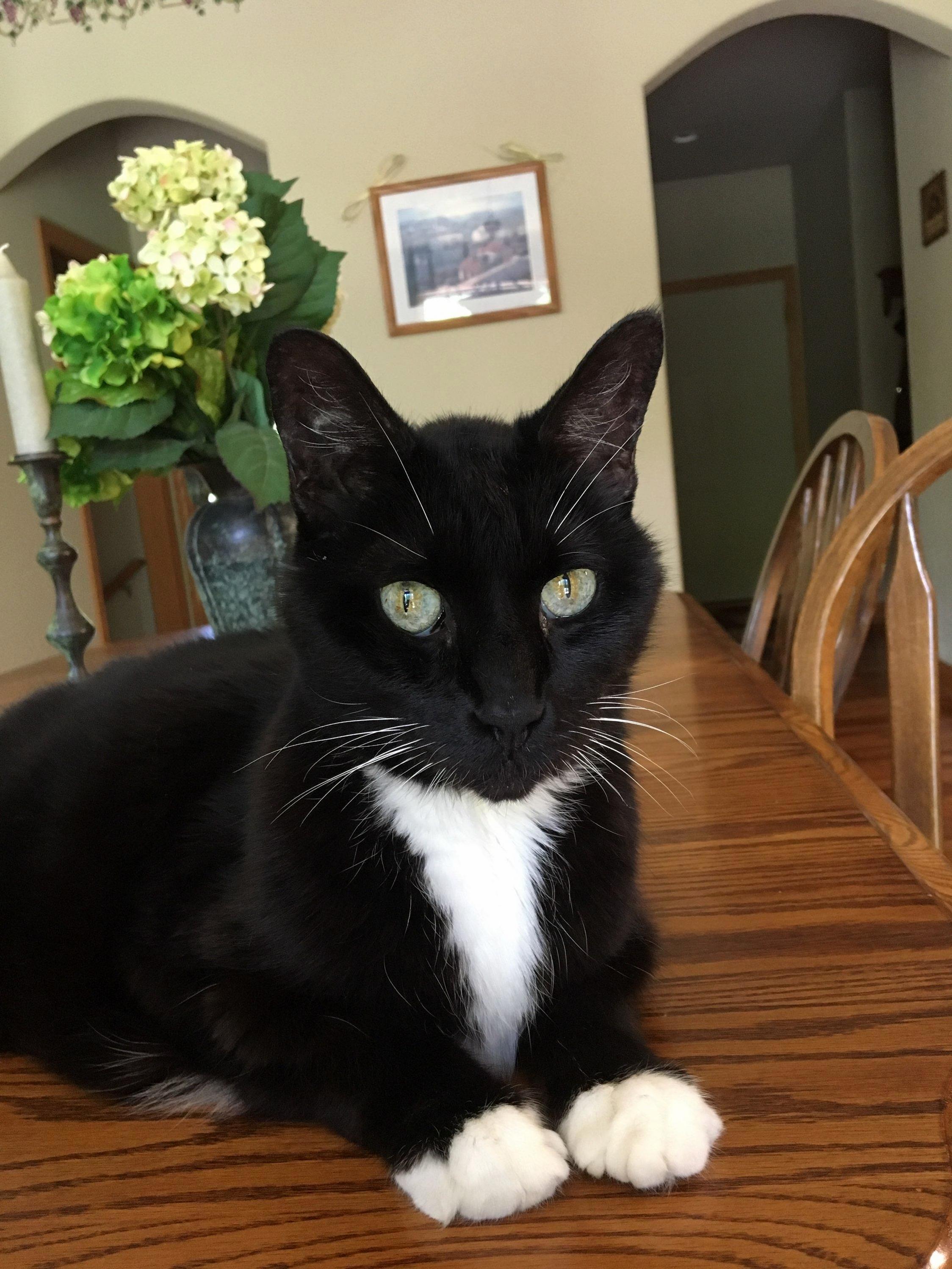 This Fella Was by My Side Through the Most Depressing of Times. Rest Easy Delbert