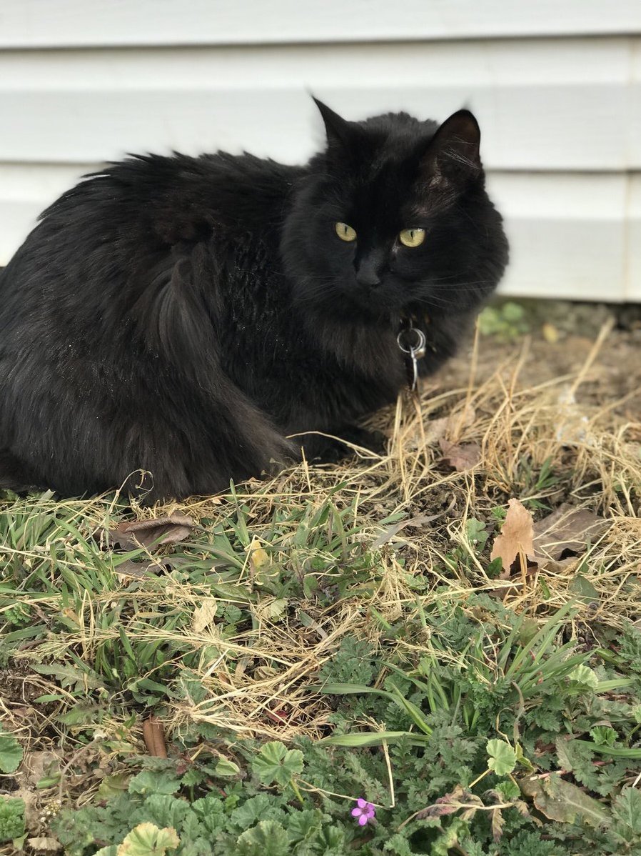 This Goofball Looks Wild with Just a Few Minutes Outside