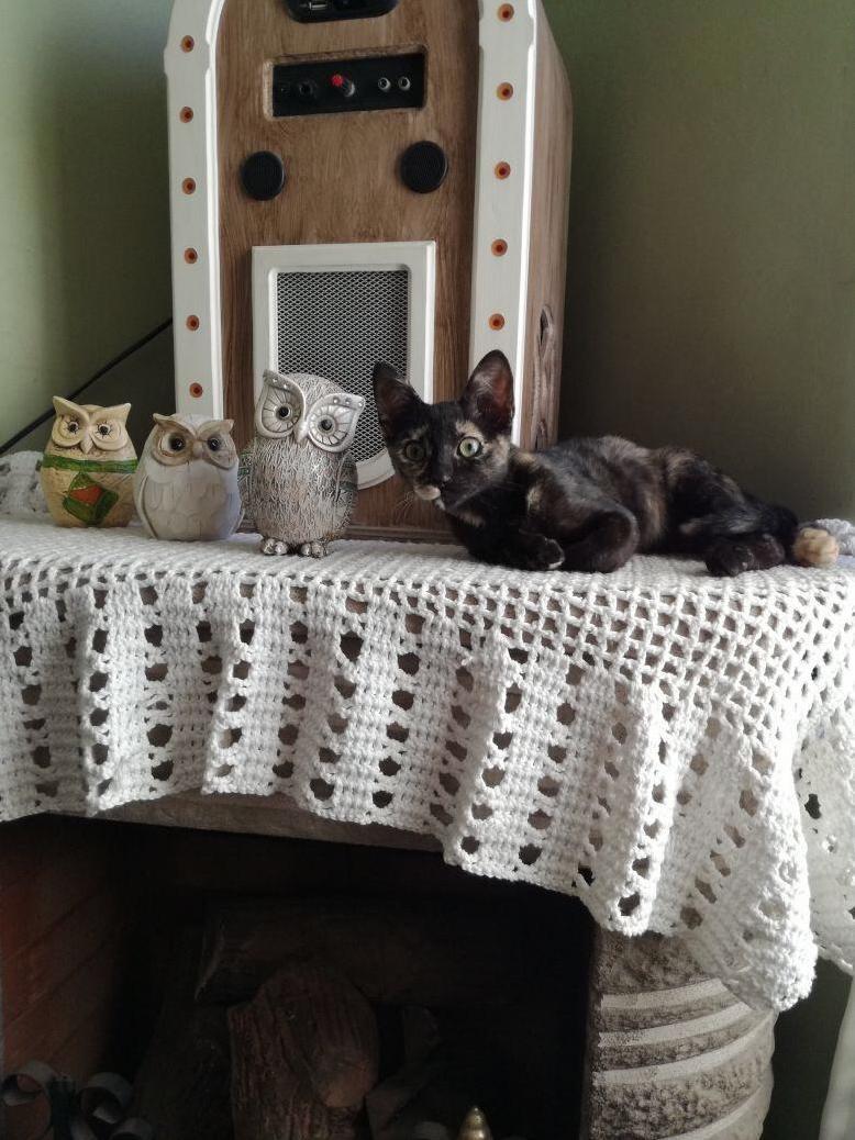 This Ia Chanel, Pretending to Be an Owl. Does She Need to Practice More