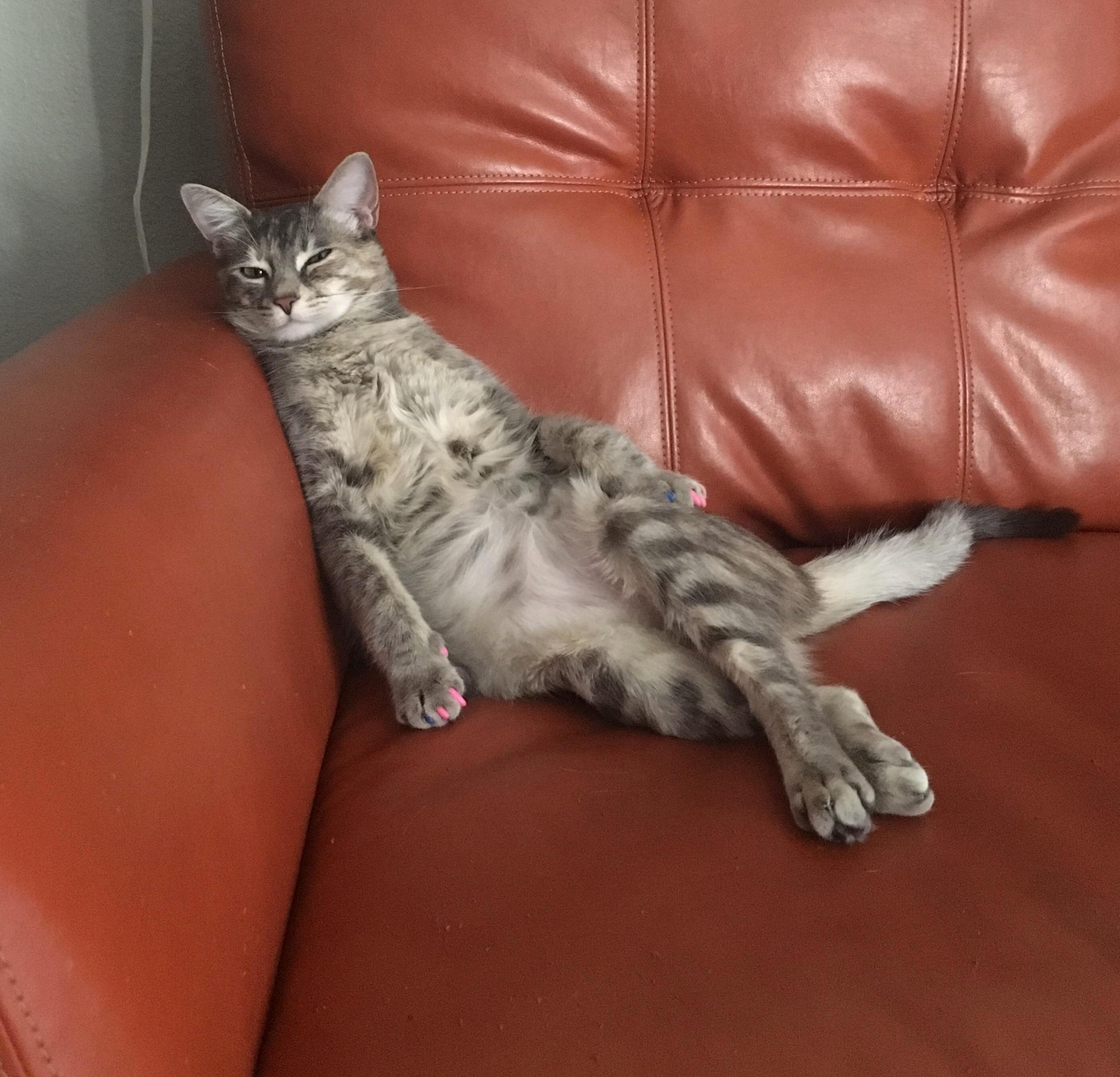 This Is Facey. She Is a Character.