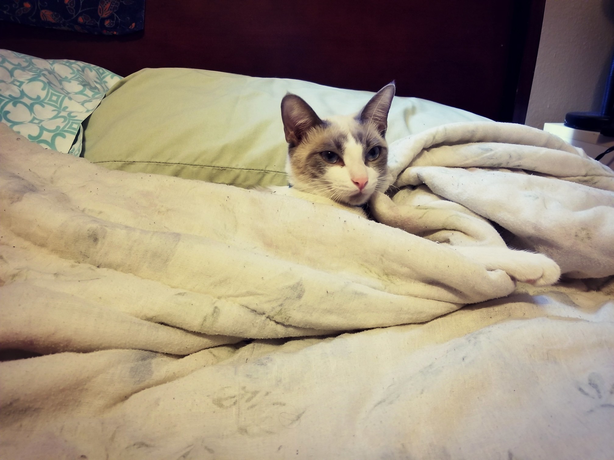This Is Her Bed Now