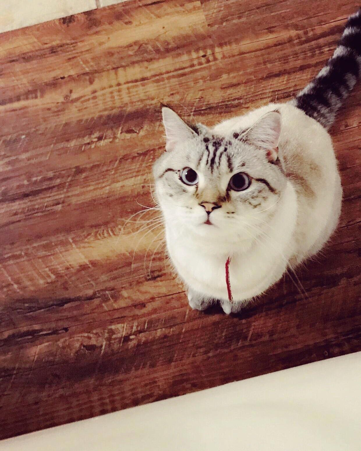 This Is His Face Any Time I Have Food.