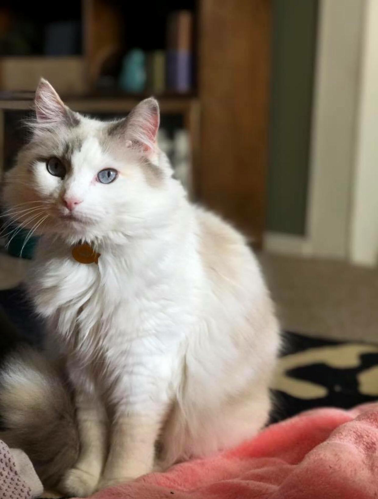 This Is My Beautiful Girl Lily!!