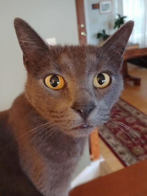 This Is Pearl.
