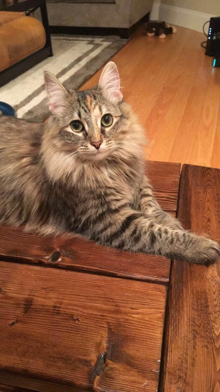 This Is Stella... Shes 8 Months Old!