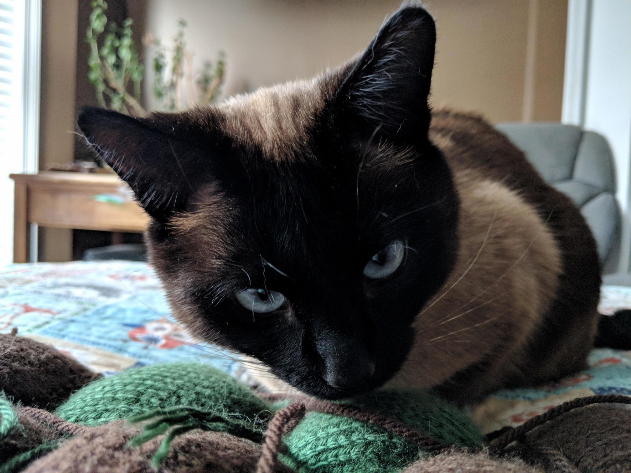 This Is the Face He Makes Seconds Before He Whacks the Camera Out of My Hands.