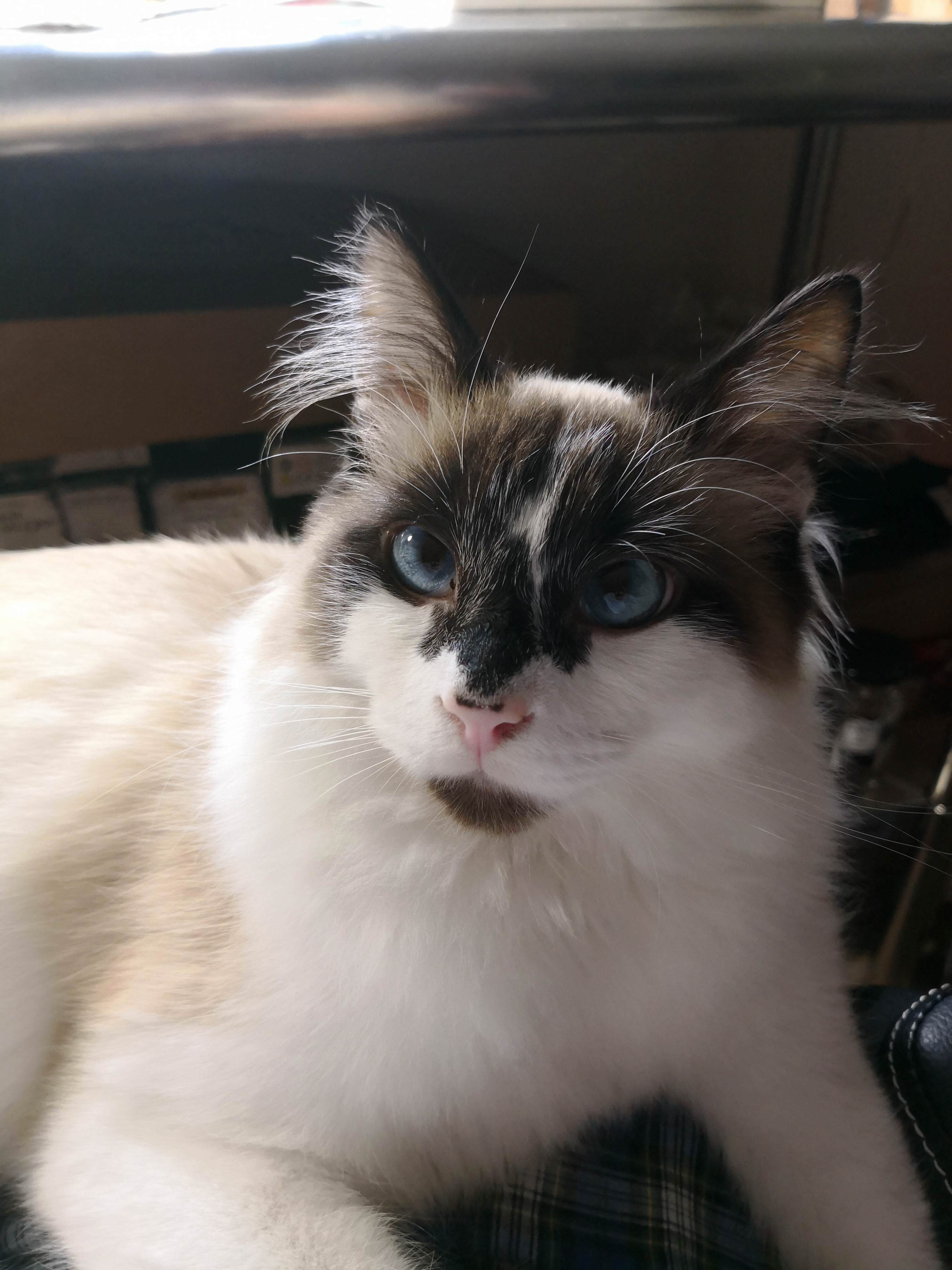 This Is Why I Cant Get Ready in the Morning