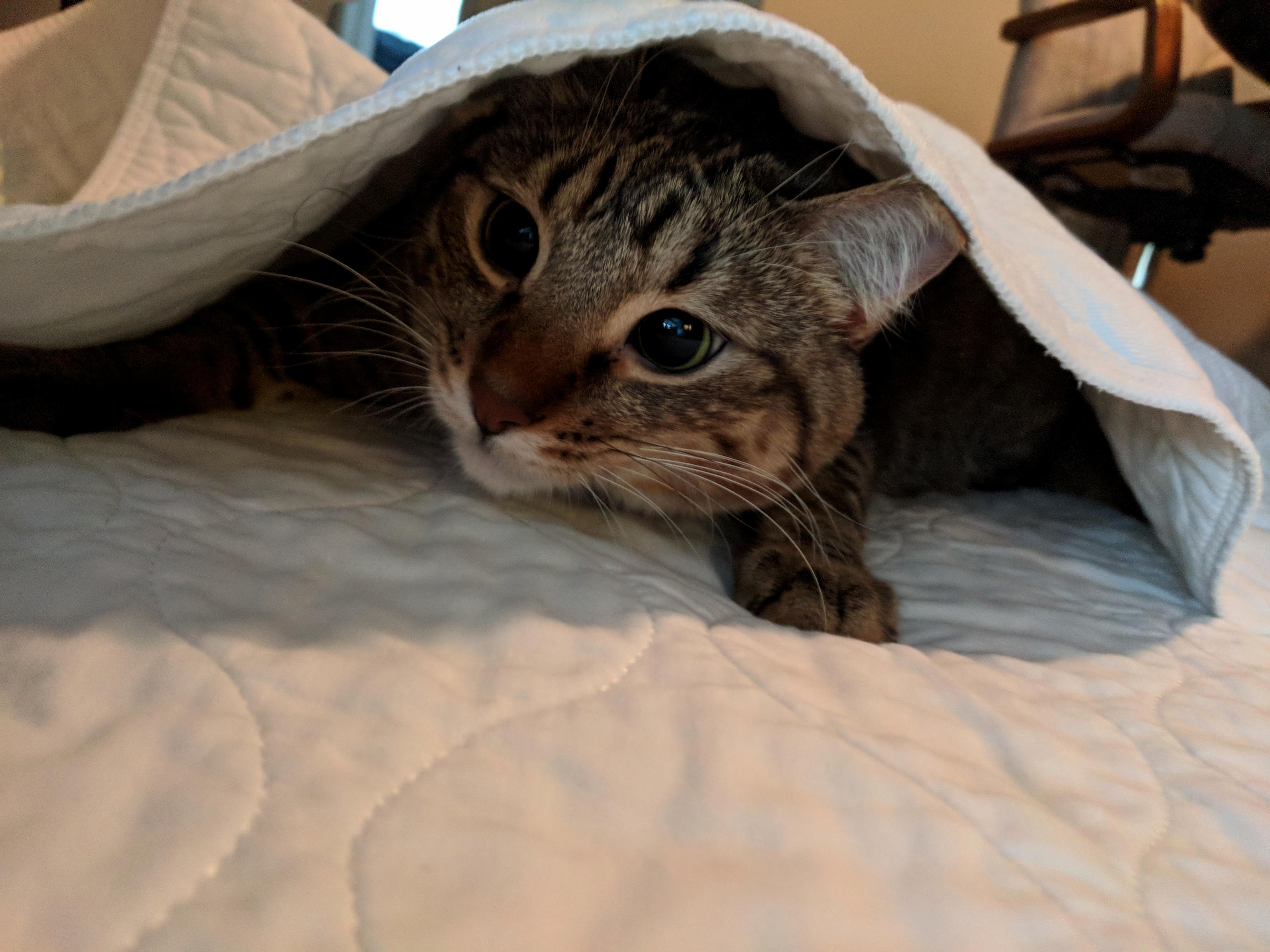 Very Comfy.