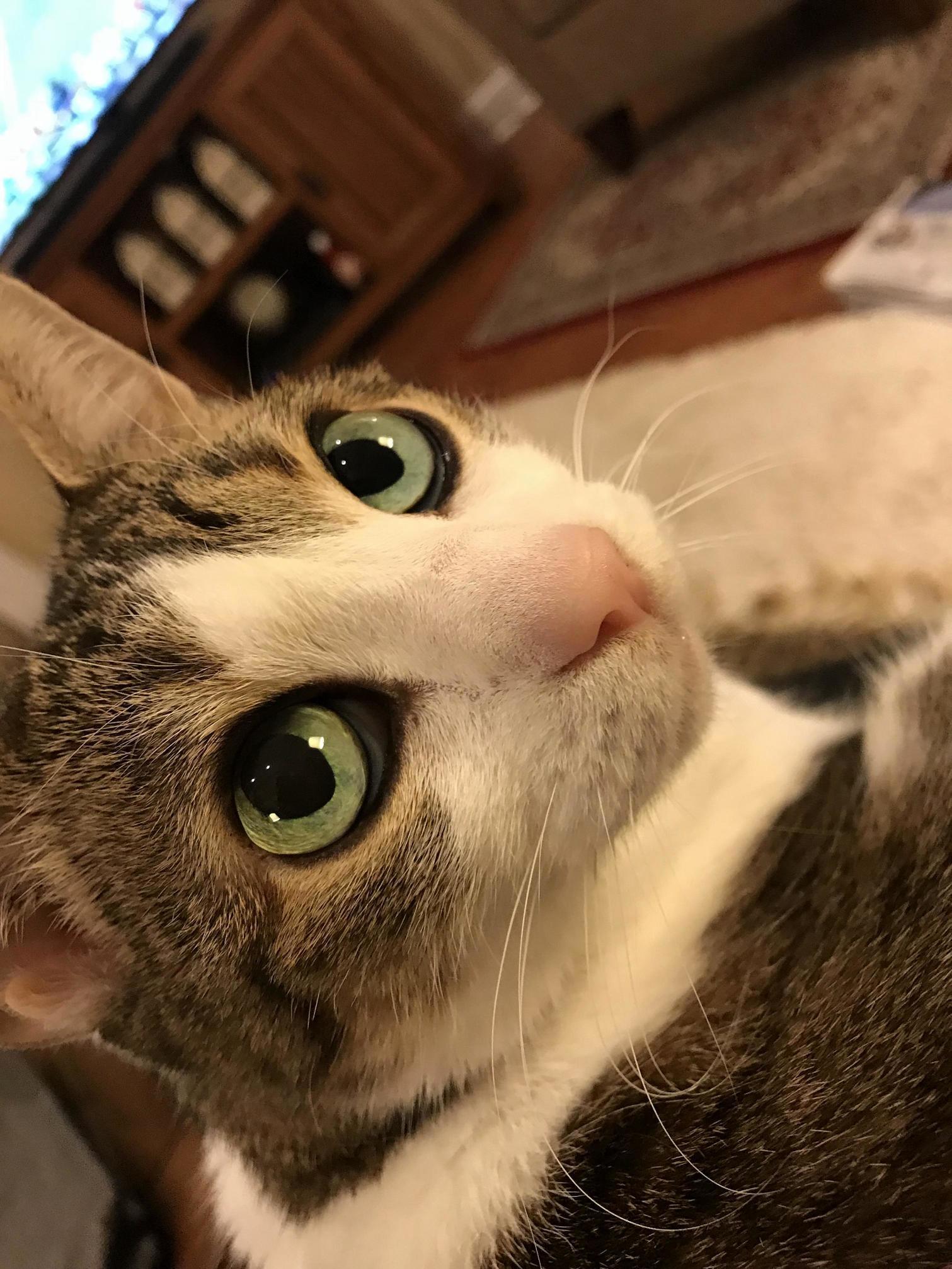 Watching the Big Game