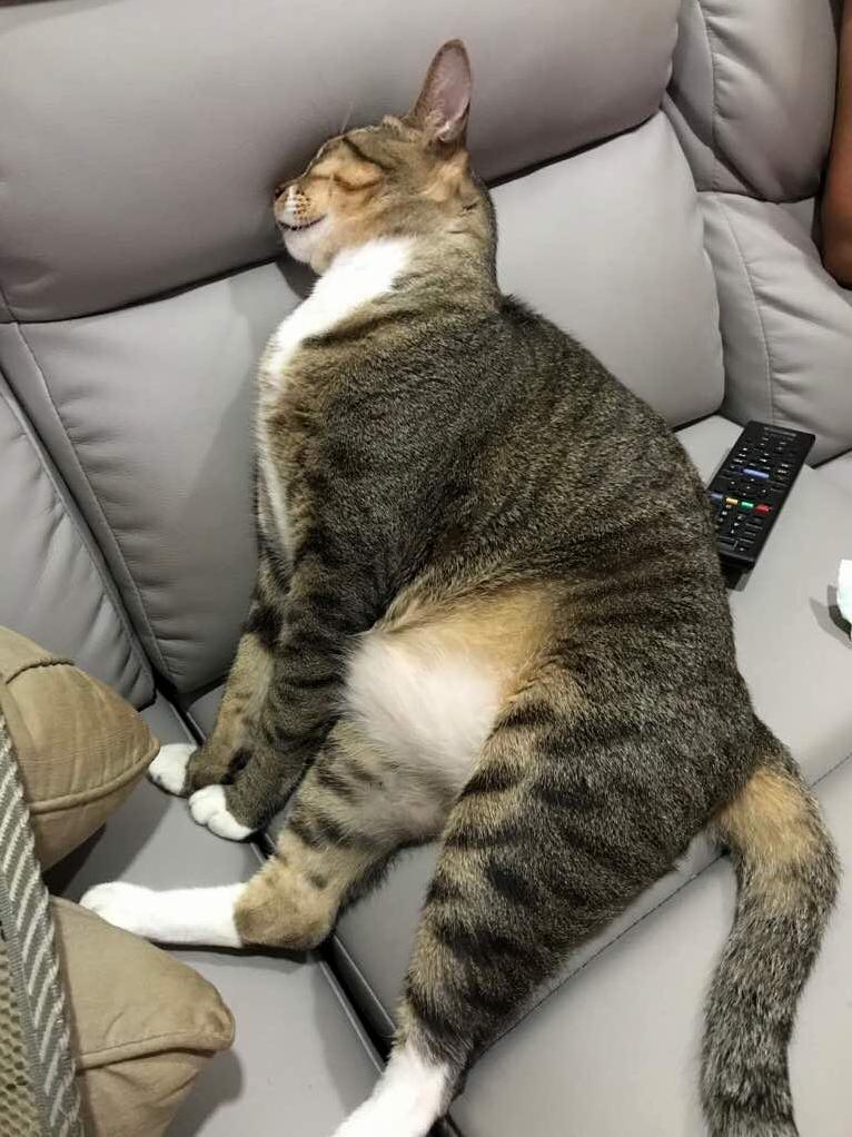 What Netflix and Chill Looks Like with This Boy.