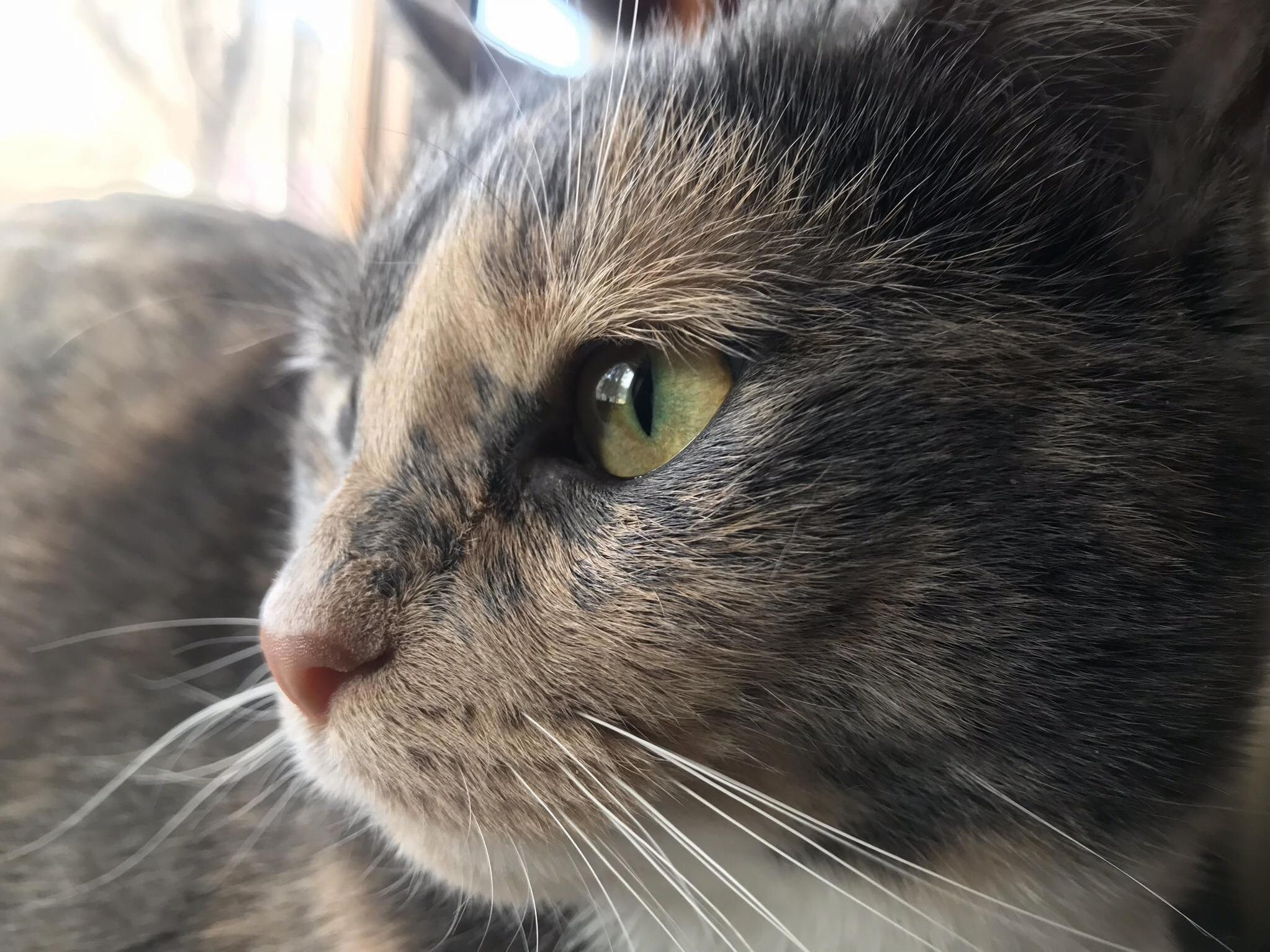 Make Sure You Get My Good Side