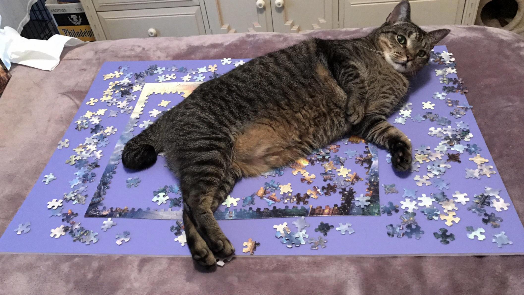 Try Finishing the Puzzle Now Hooman