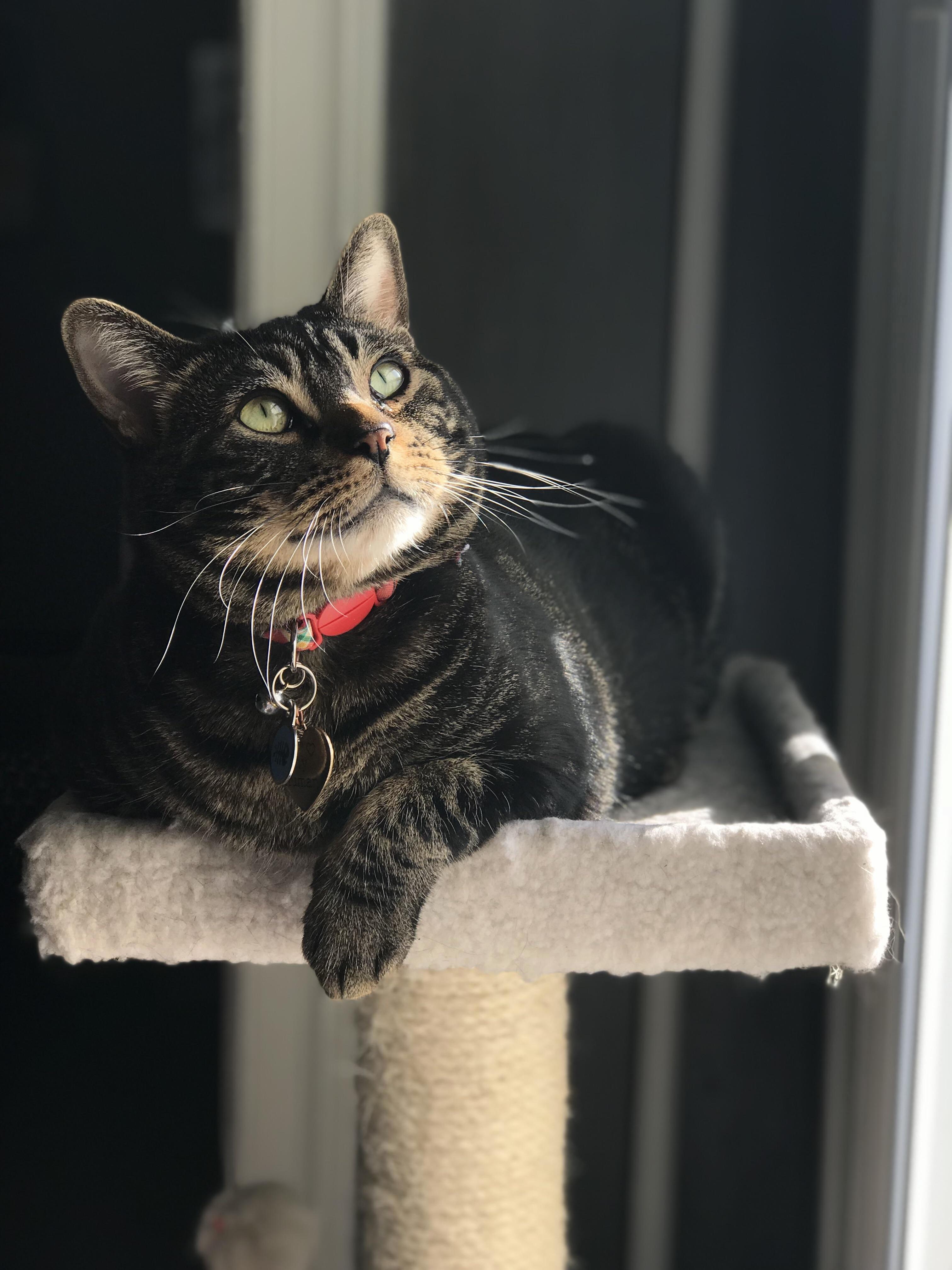 5pm Birb Watching