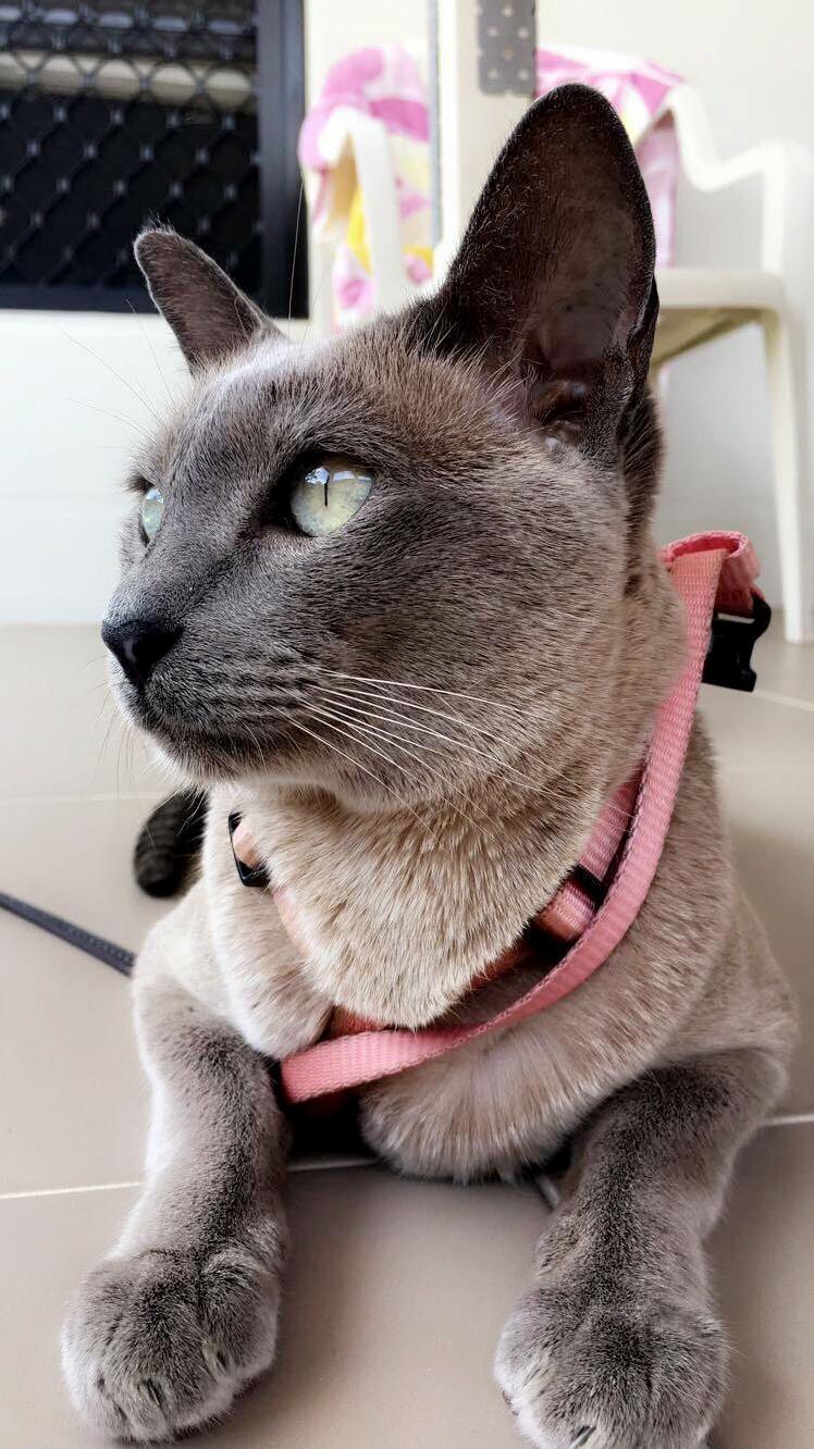 After Our Walk