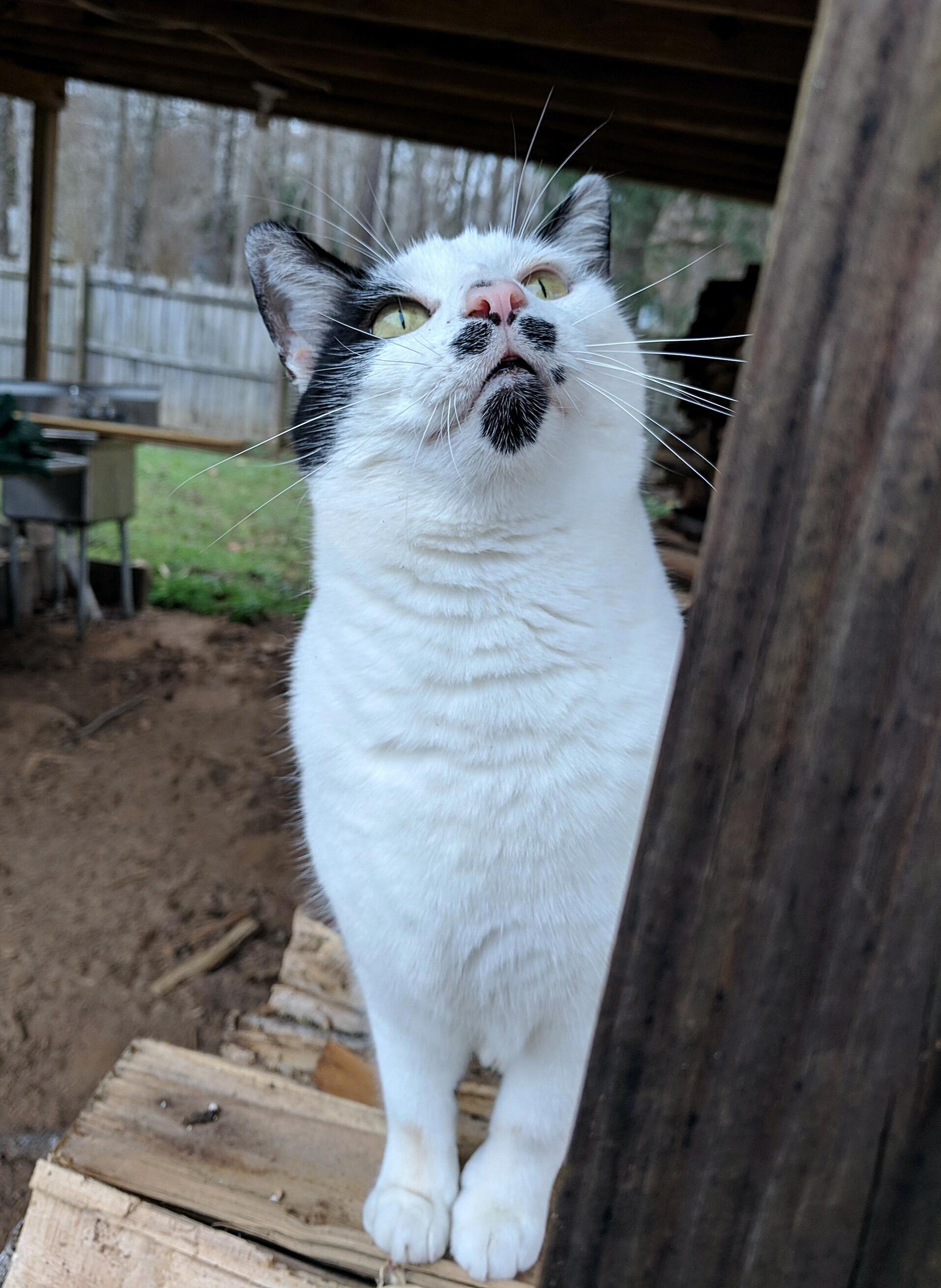 Ah, the Wonders of the Outside World...