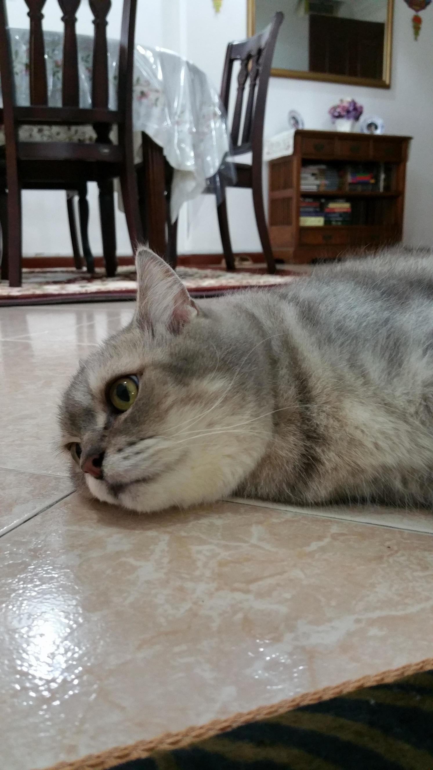 Ash Here Is Having Existential Crisis, Help.