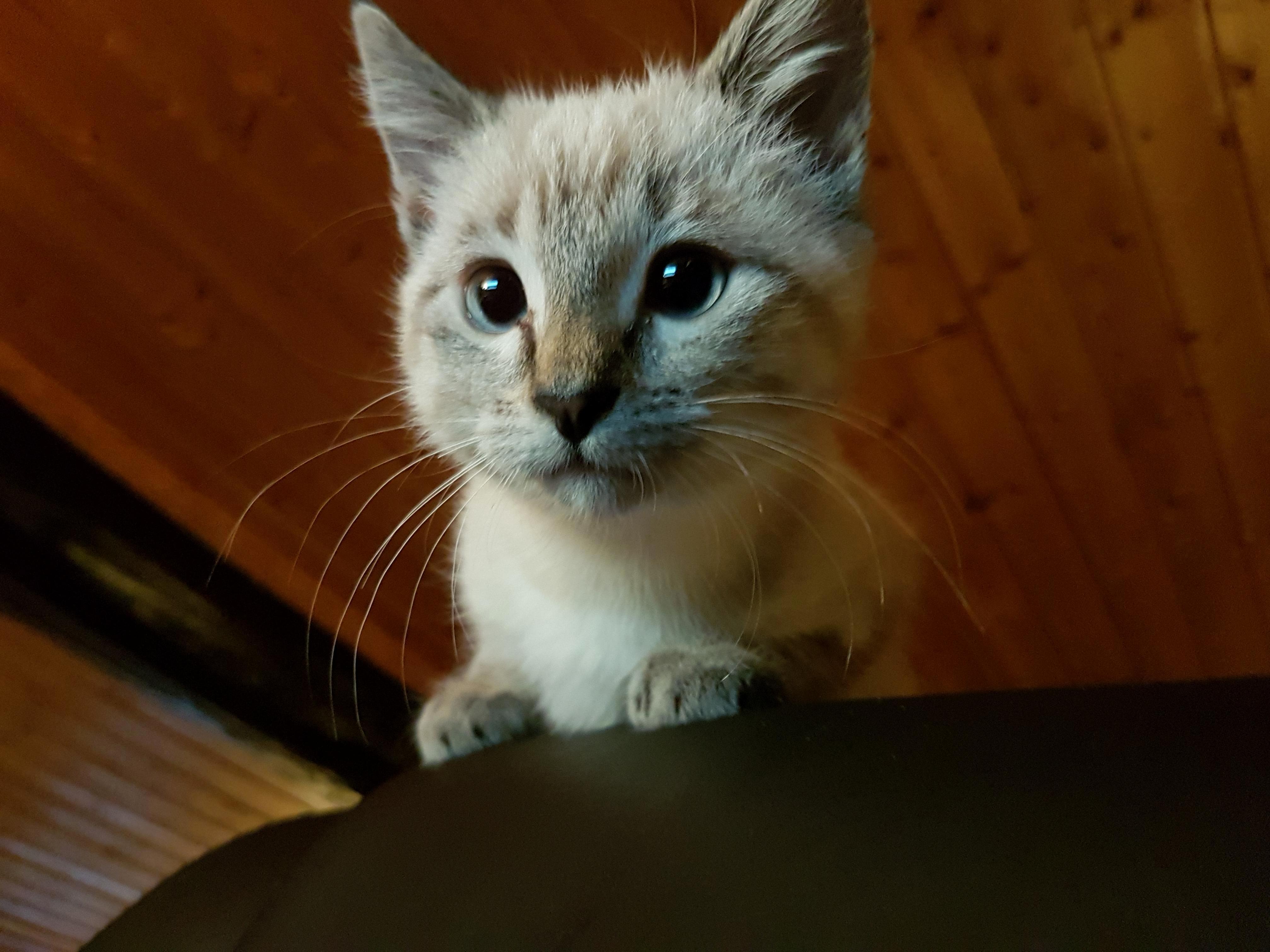 Awwwwww