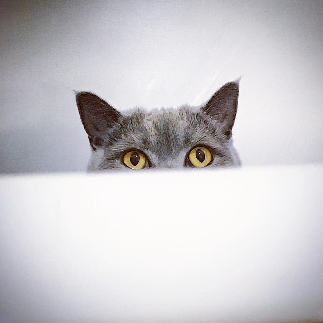 Bath Time!!!!!
