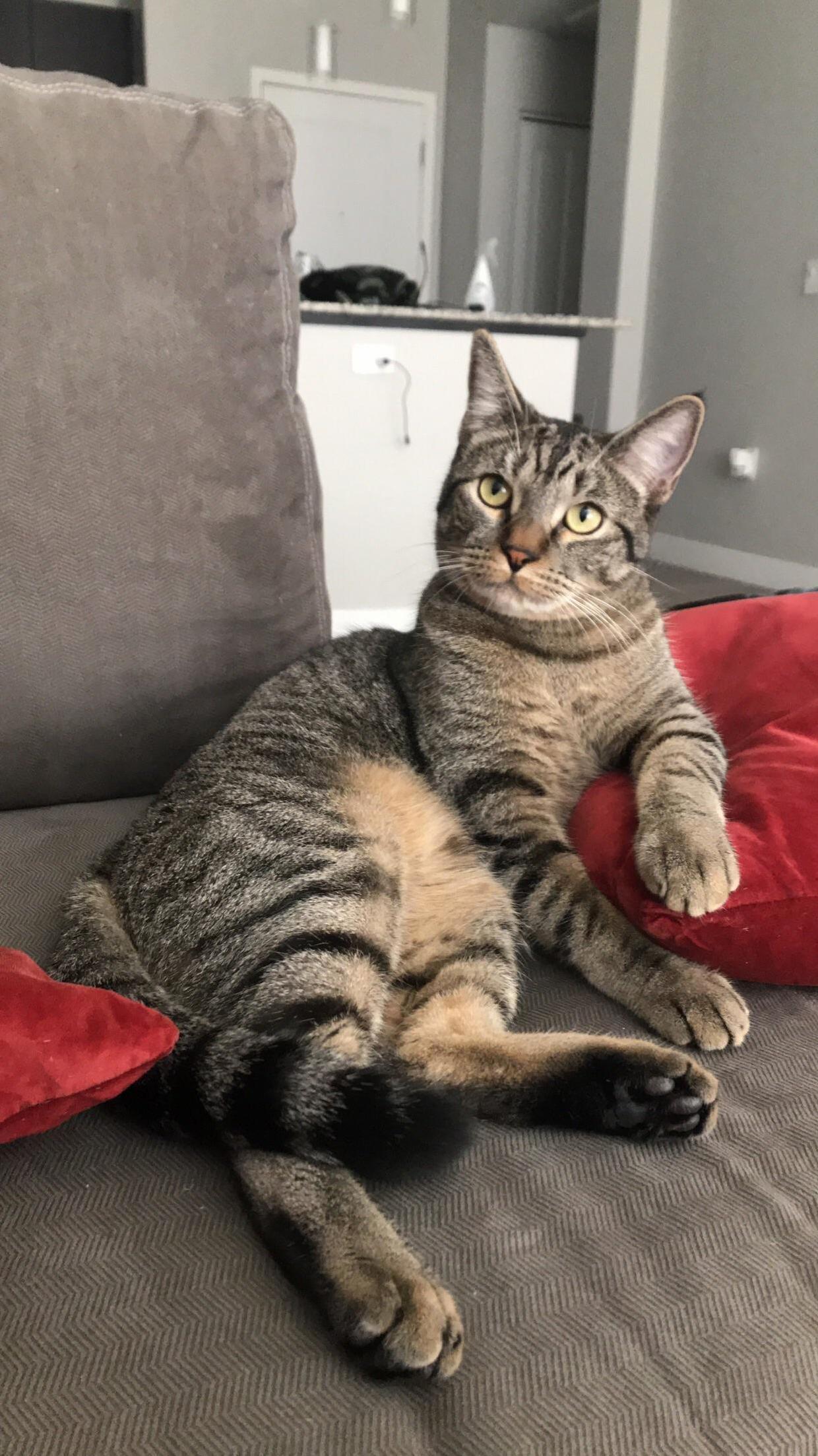 Big Boy Morty