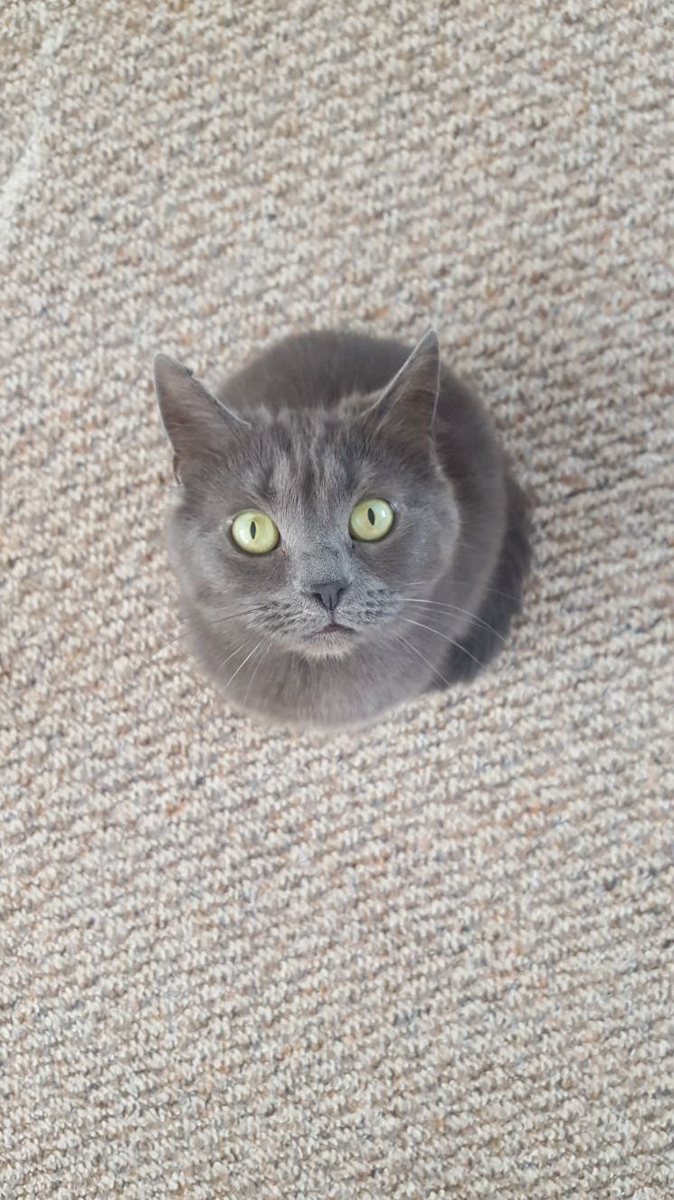 Birds Eye View