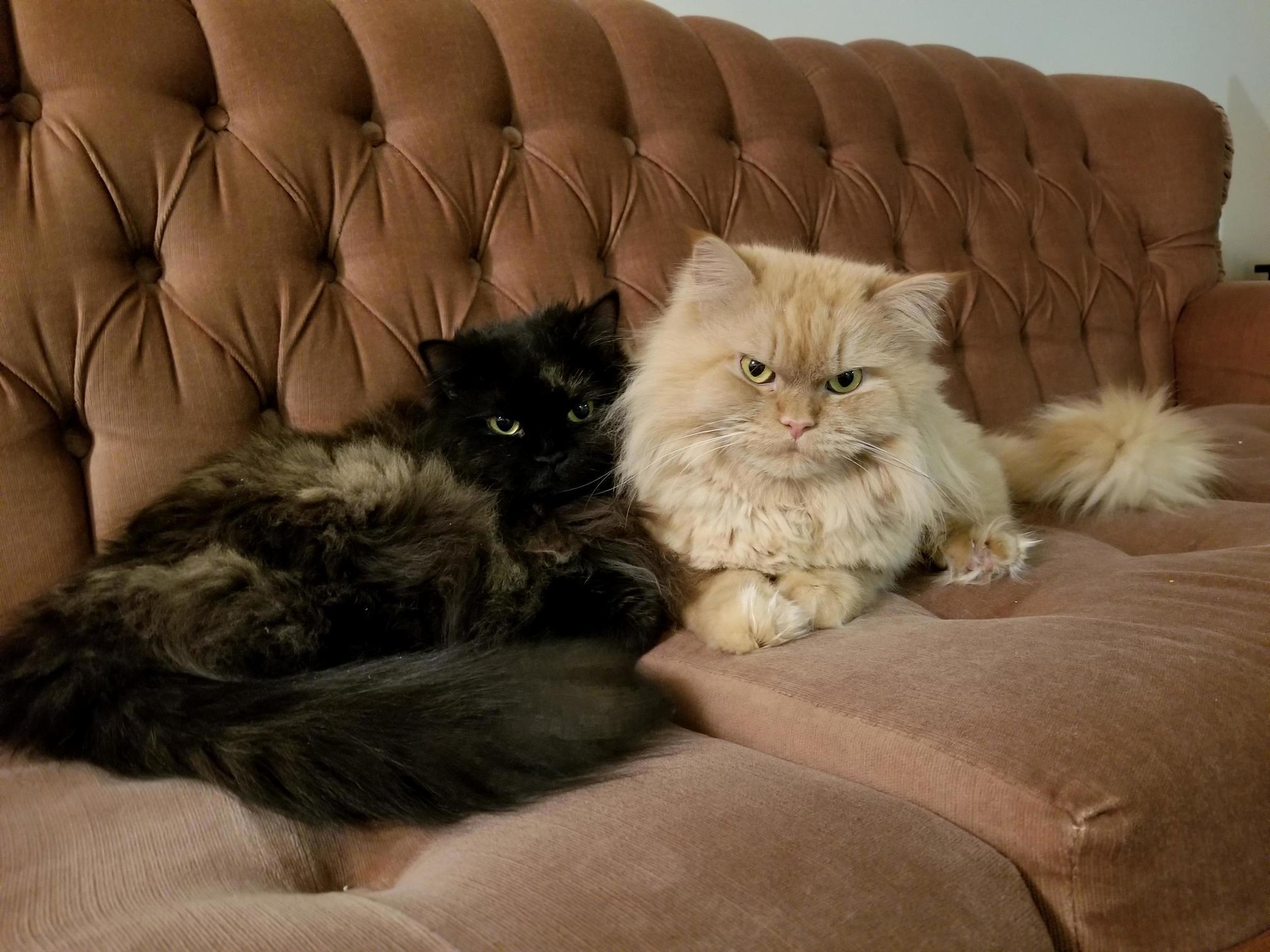 Brother and Sister When Theyre Not Fighting