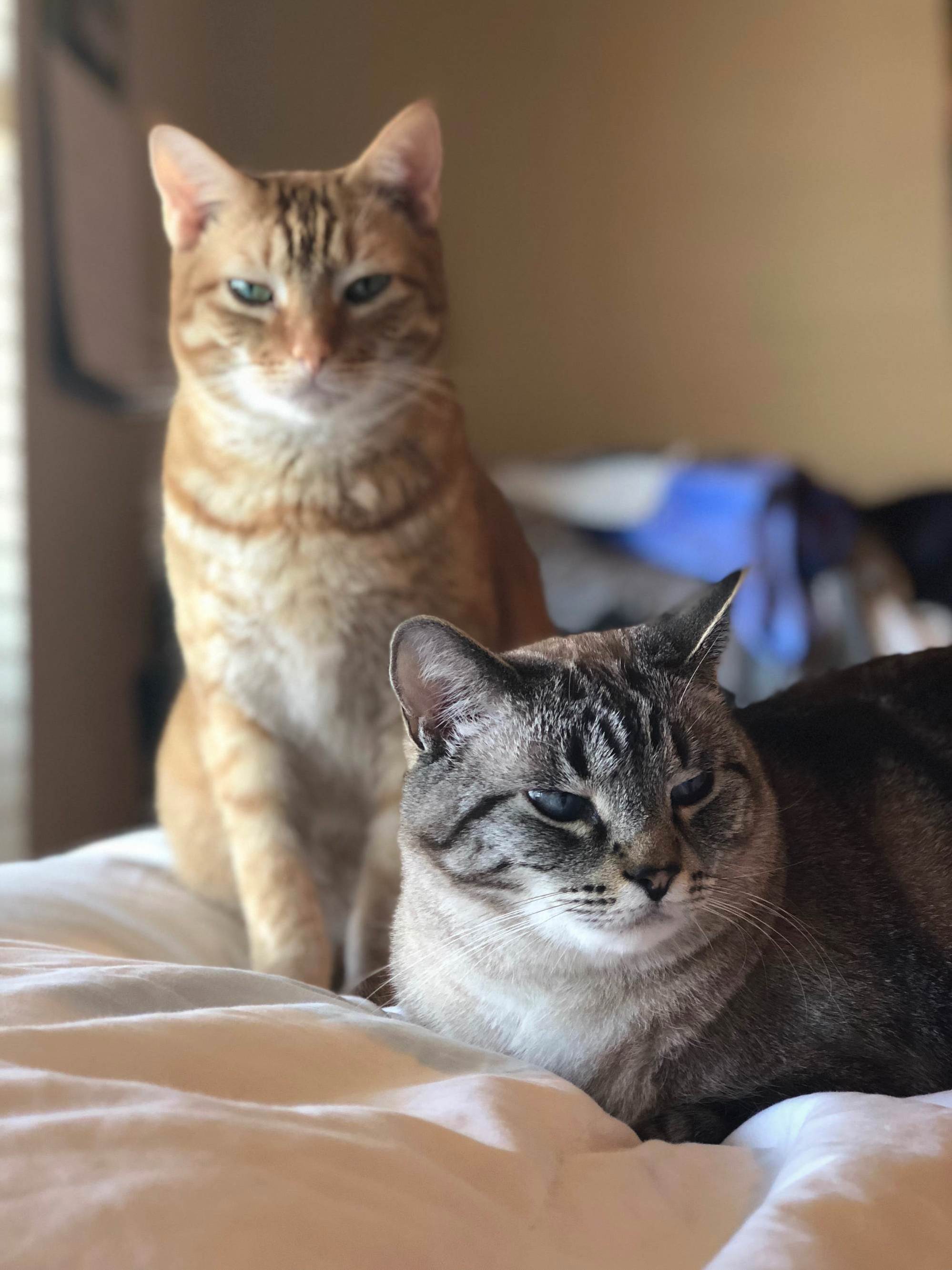 Brothers Oliver & Max