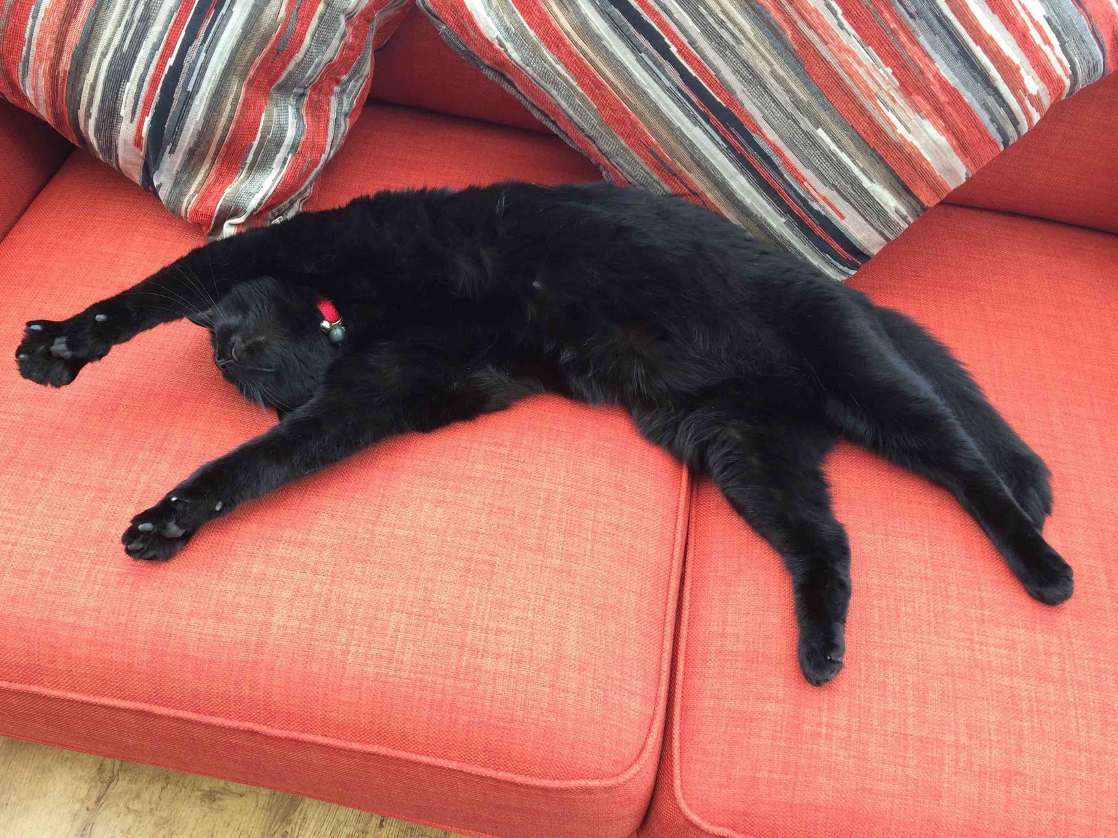 Catching Some Rays.