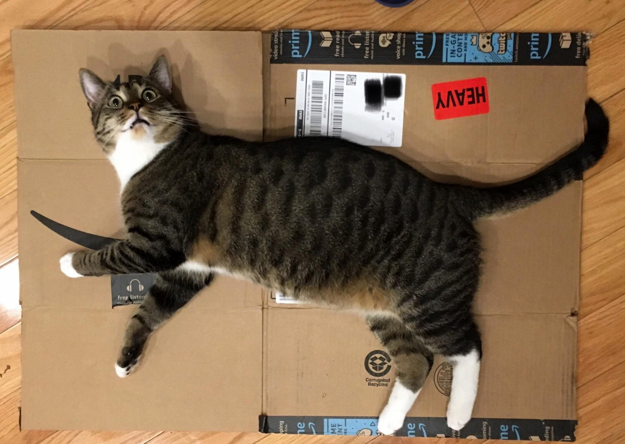 Caution Item Is Heavy!
