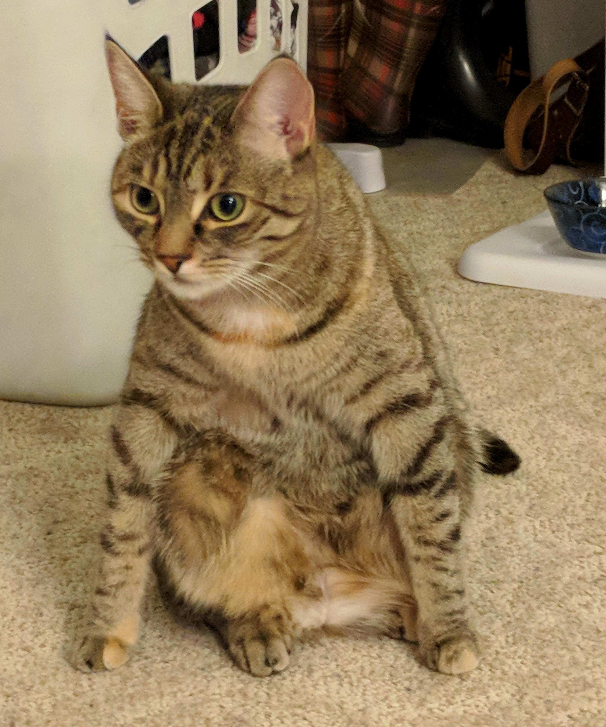 Channeling Her Inner Gorilla.