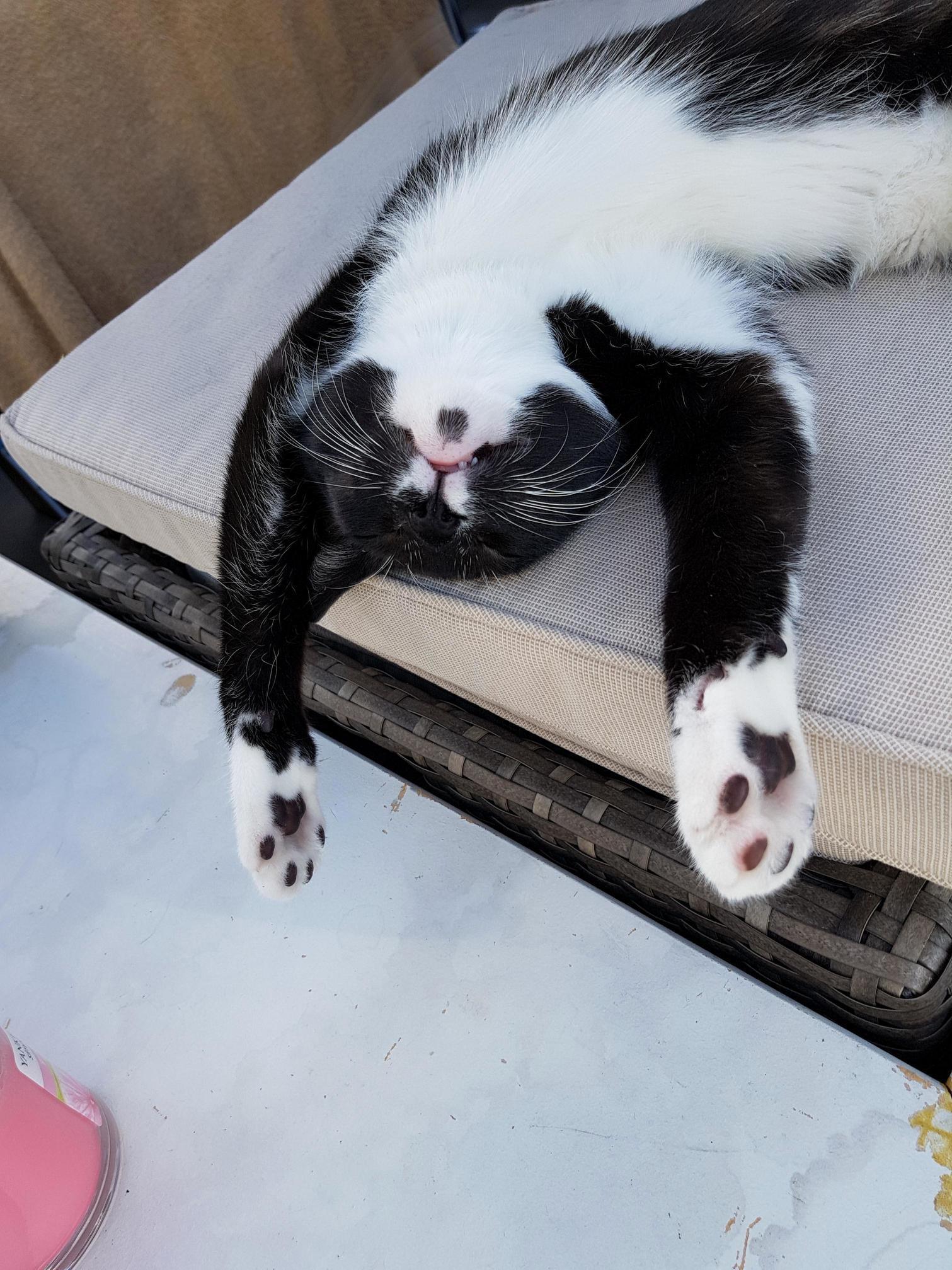 Comfortable Enough