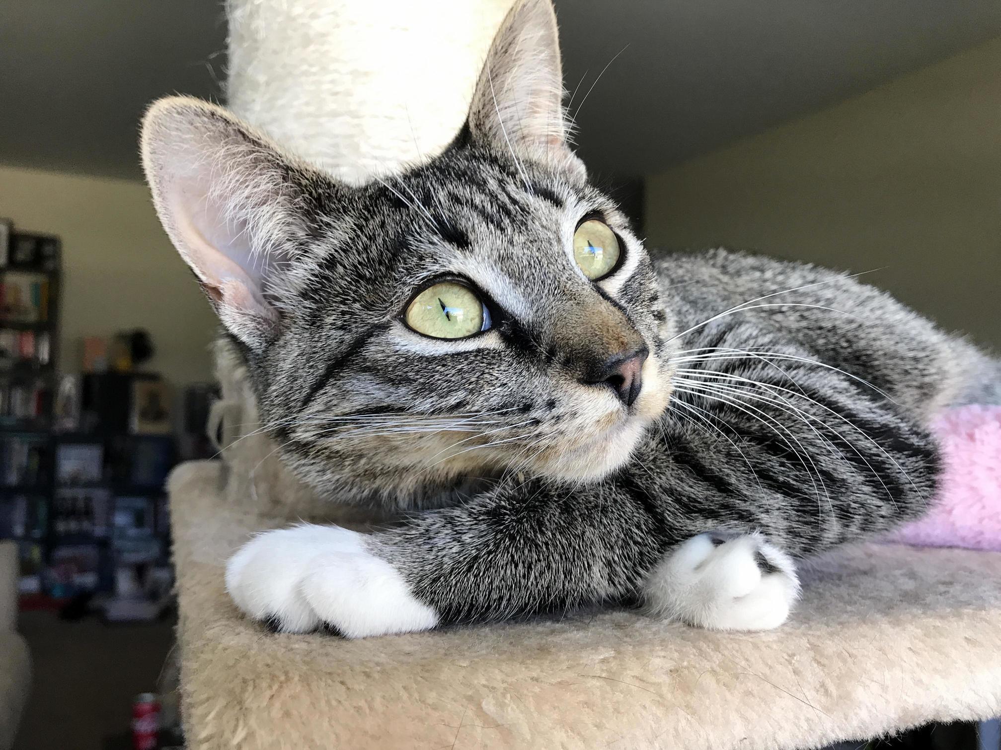 Daydreaming.