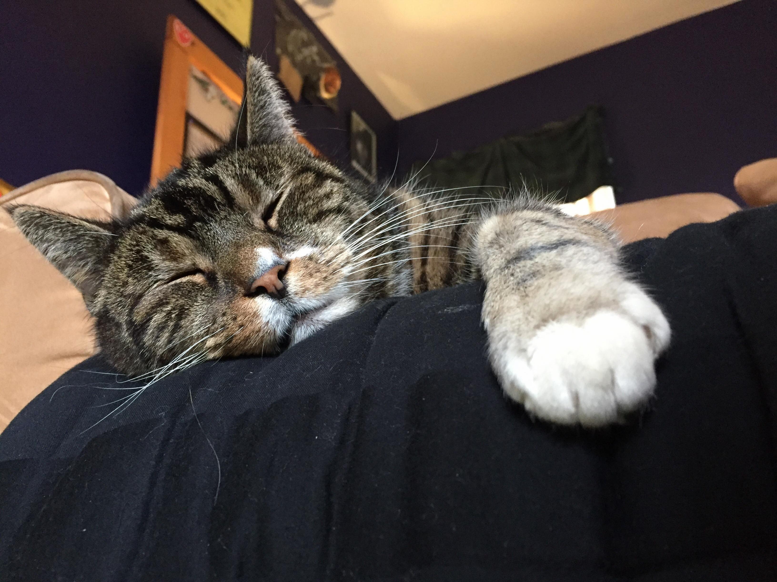 Deep in Slumber
