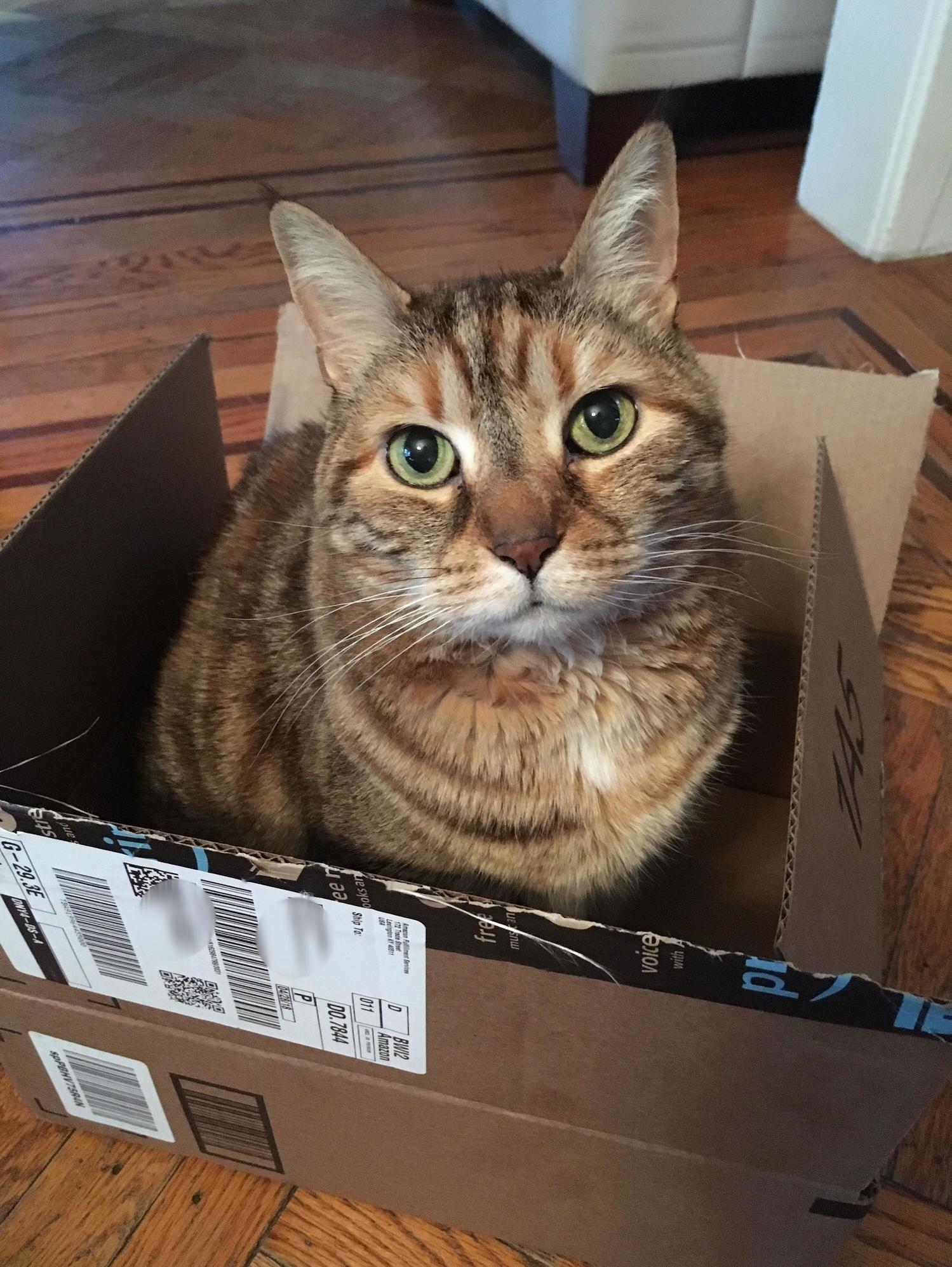 Delivery!