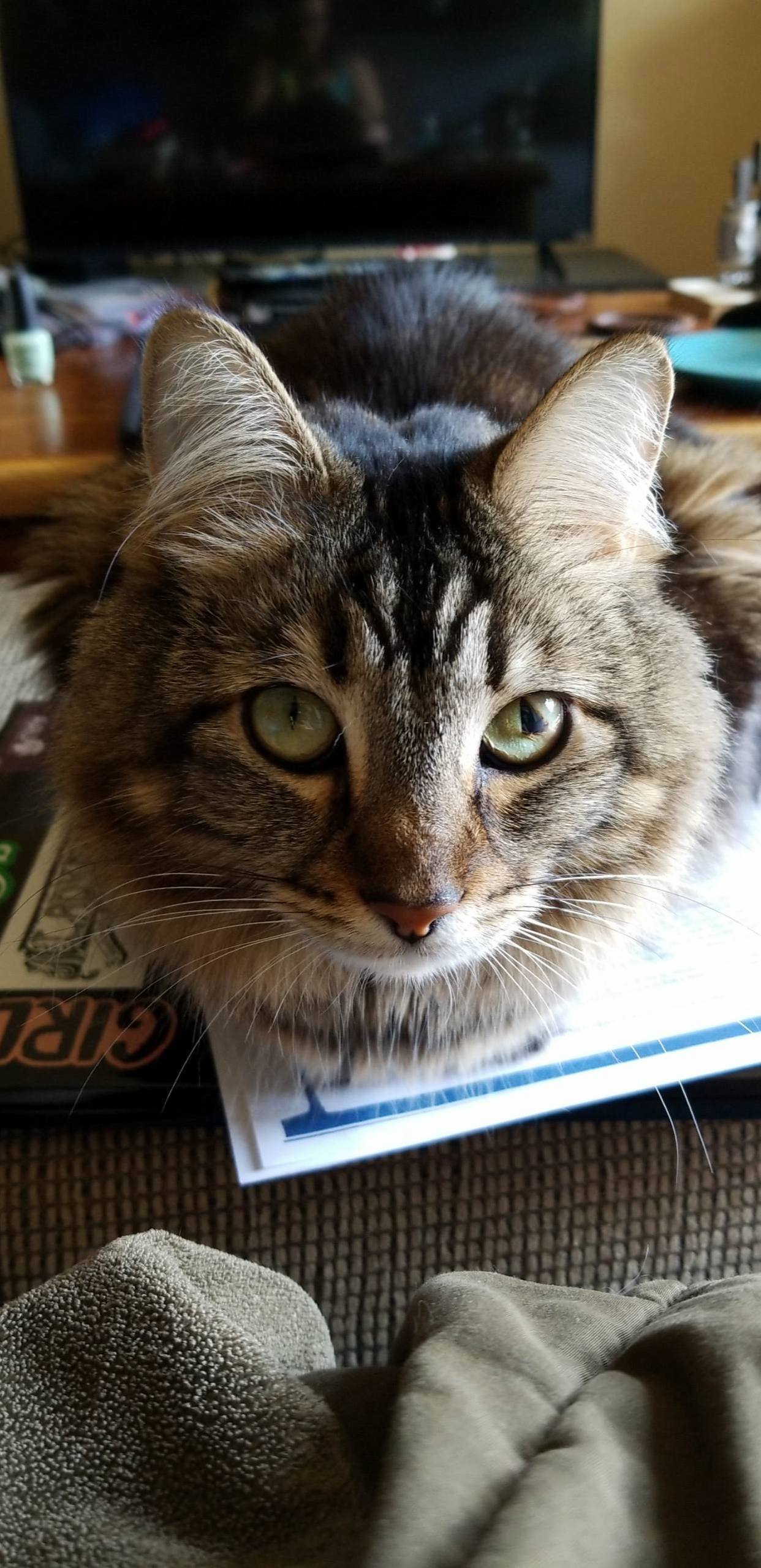 Egwene Doesnt Give a Shit About Your Homework
