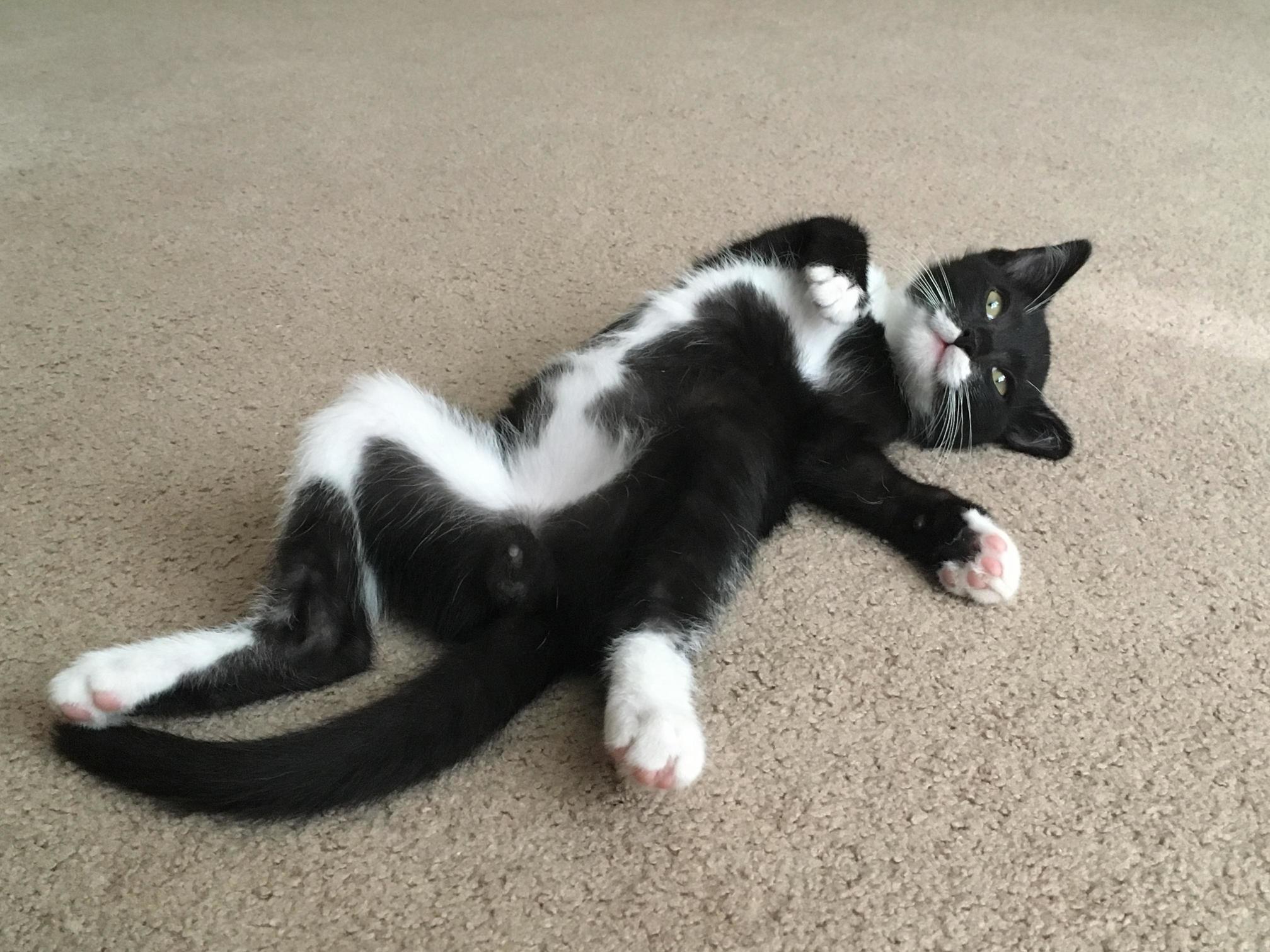 Foster Will, Acting As Classy As Hes Dressed!