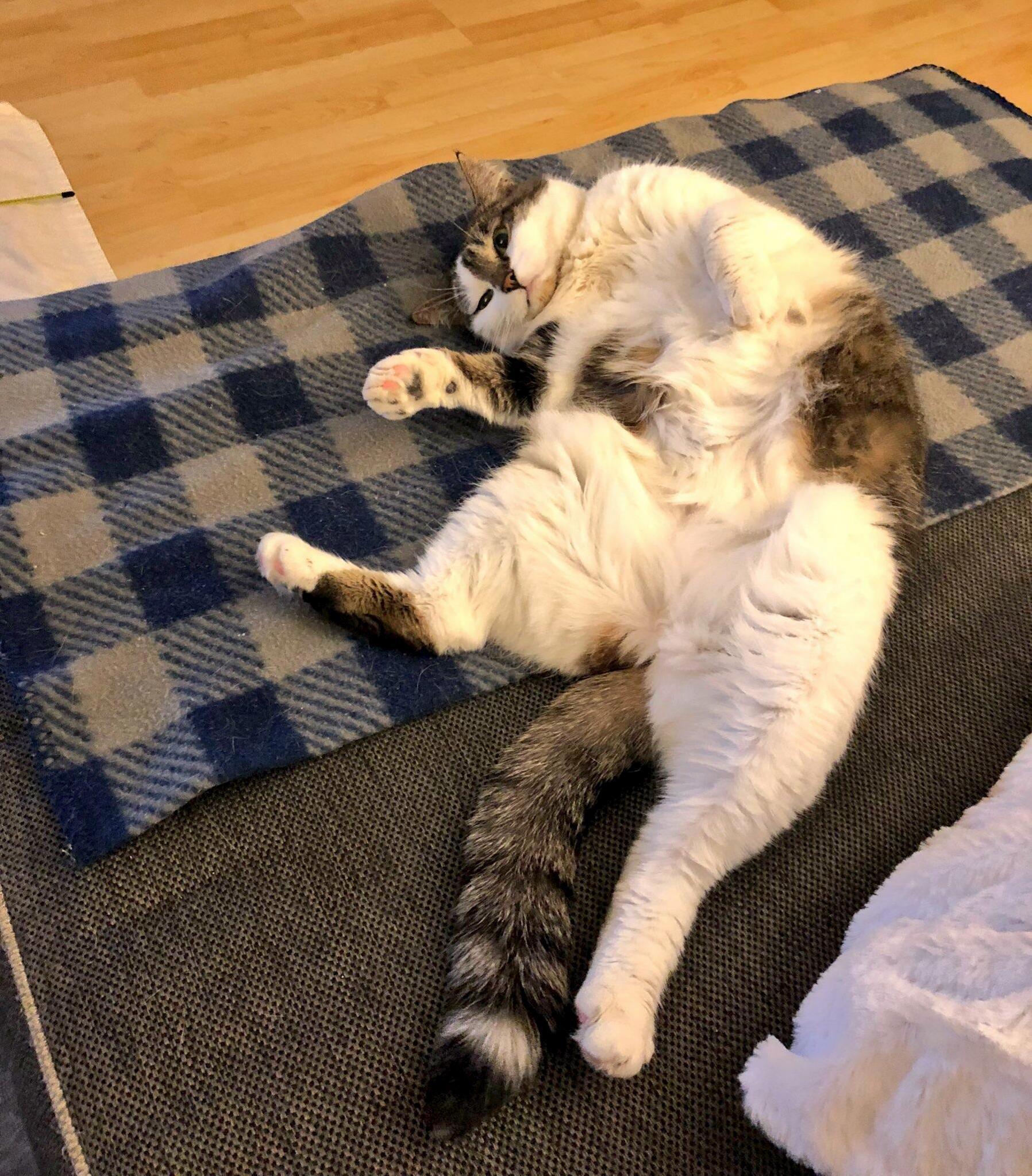 Friday Afternoon Mood