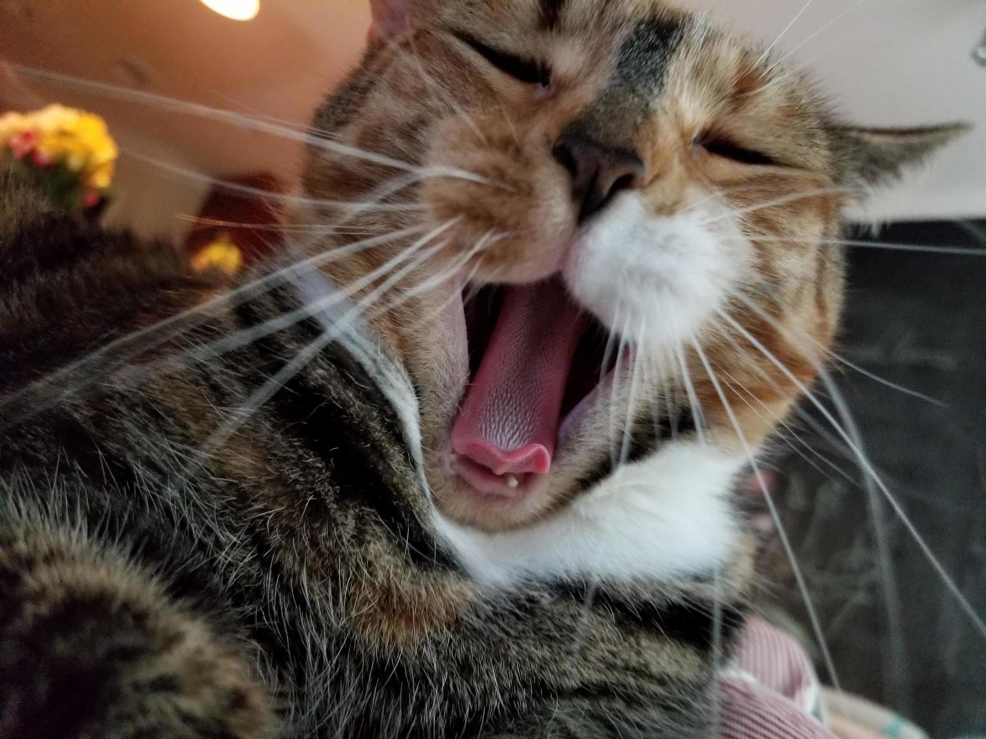 Guess Im Boring Her...