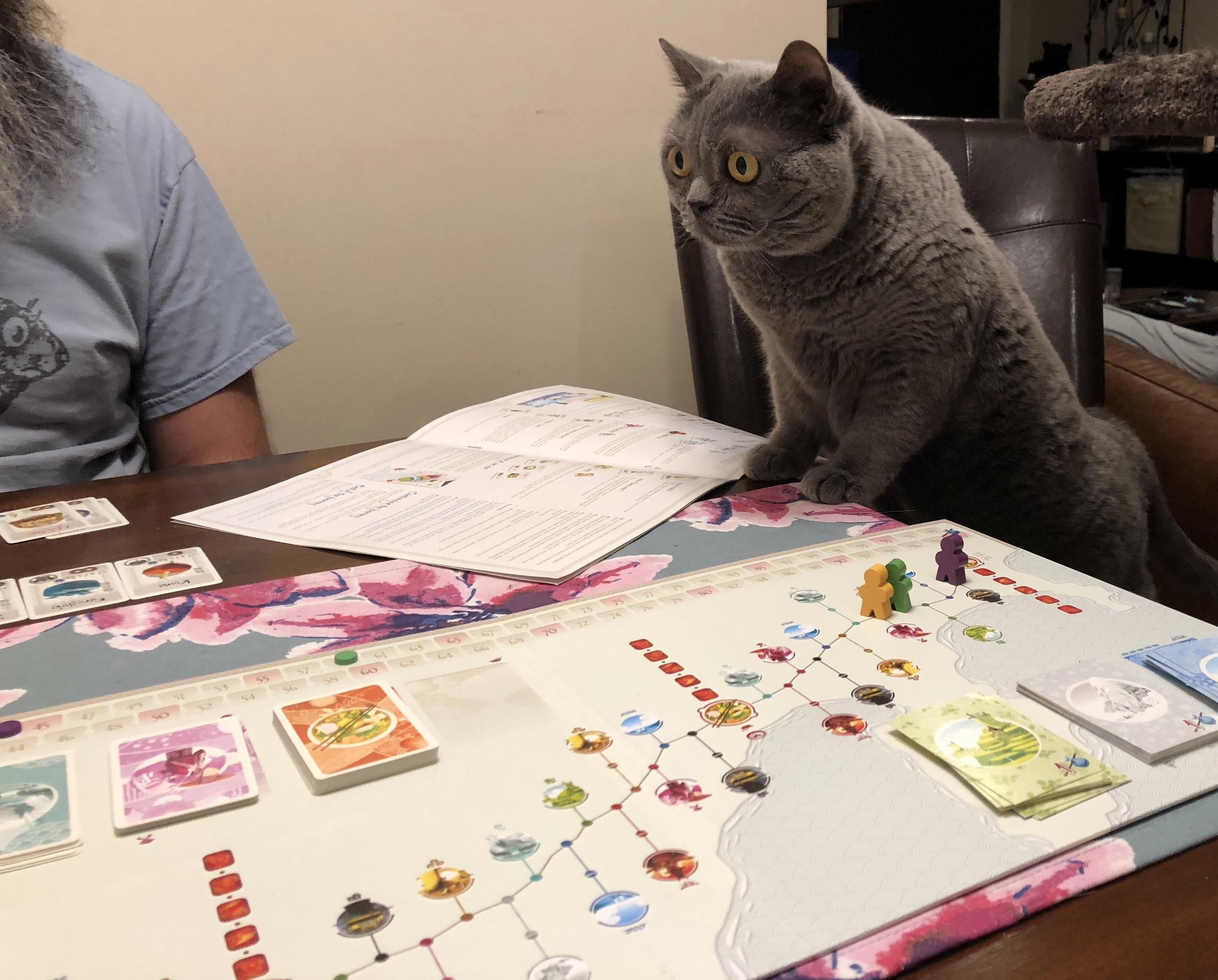 Happy 9th Birthday to Our Gaming Princess.