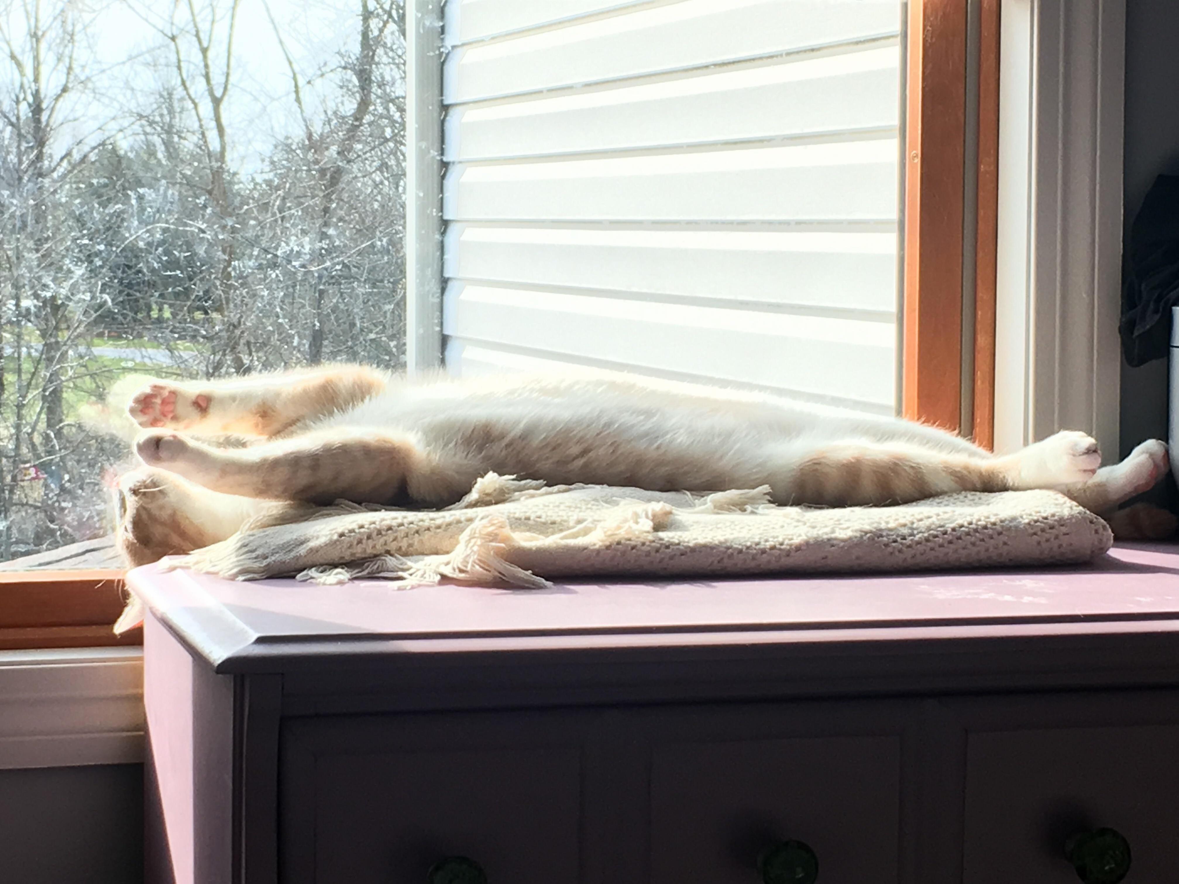 Happy Birthday to My Sassy Boy.