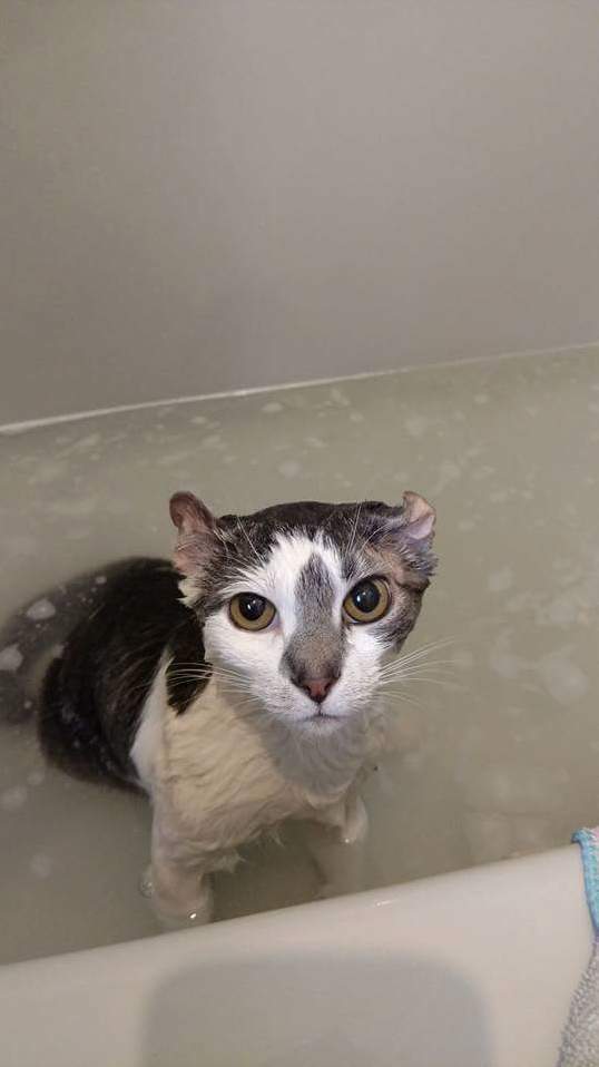 He Looks Upset but He Isnt