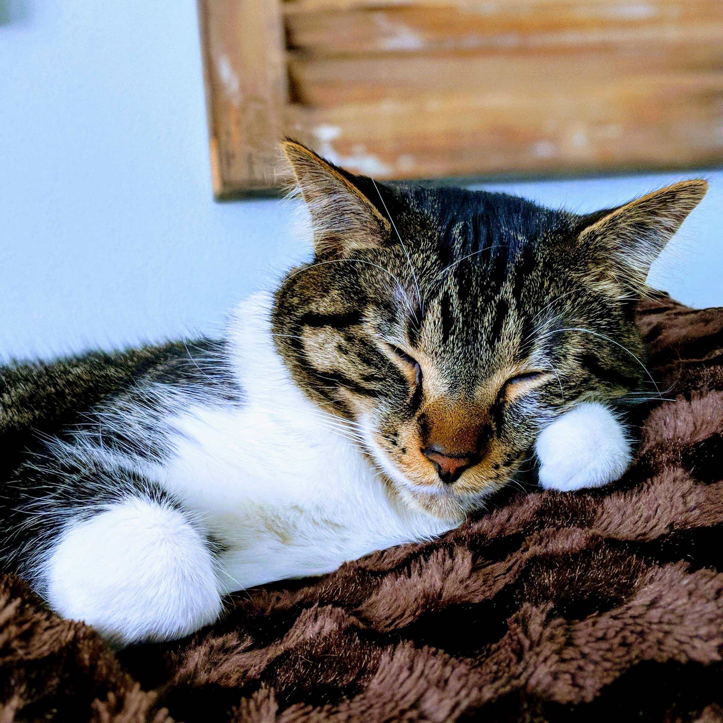 He May Be a Jerk, but Hes My Jerk.