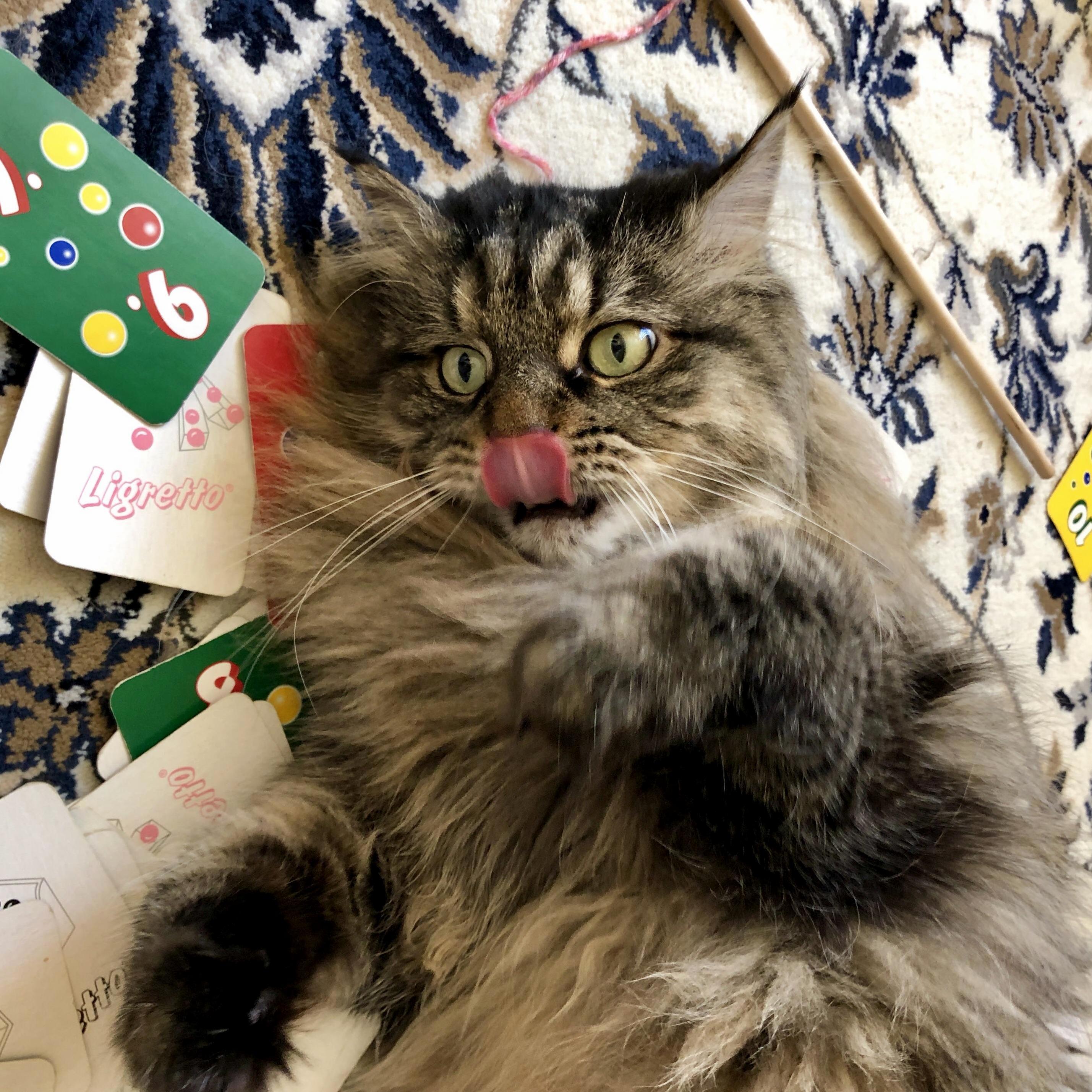 He Was Losing at the Card Game!