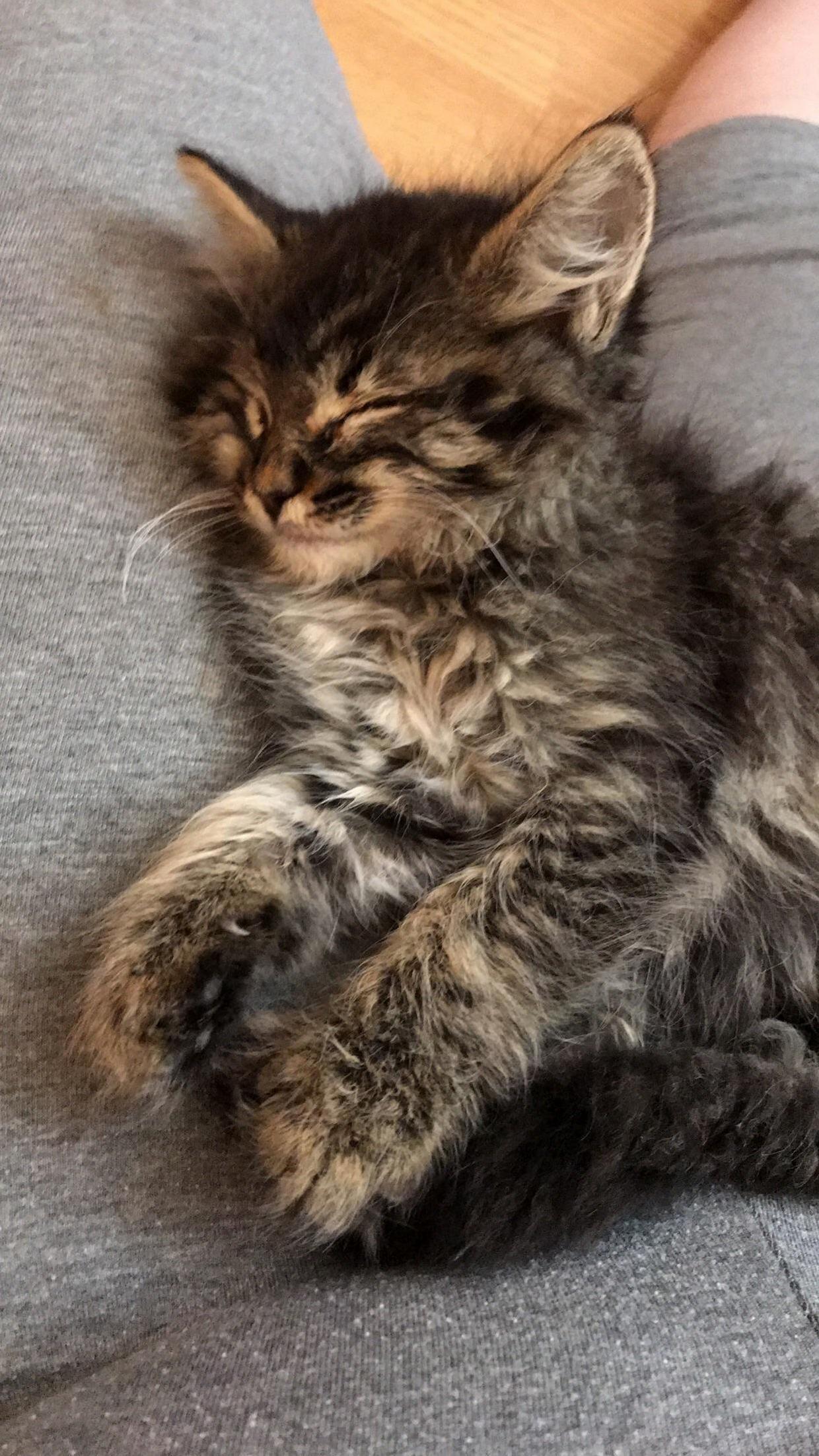 Help Me Name My New Baby!